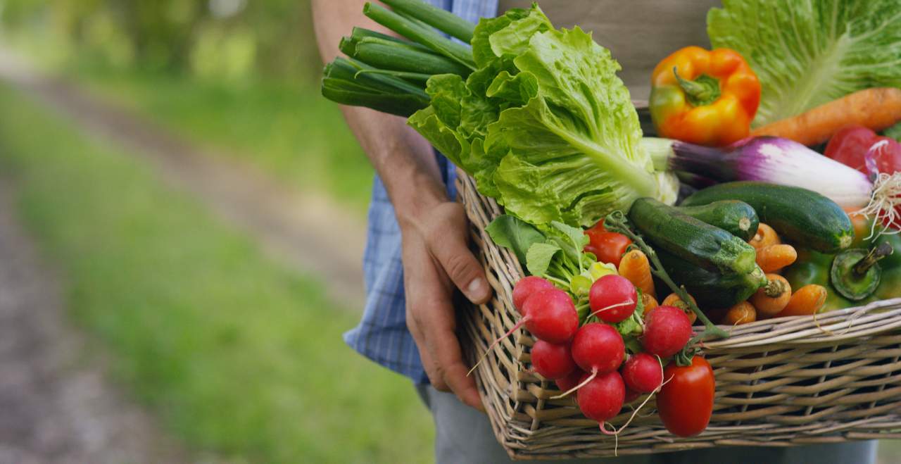 El boom de la fruta ecológica se dispara en 2021 gracias a EcoSarga