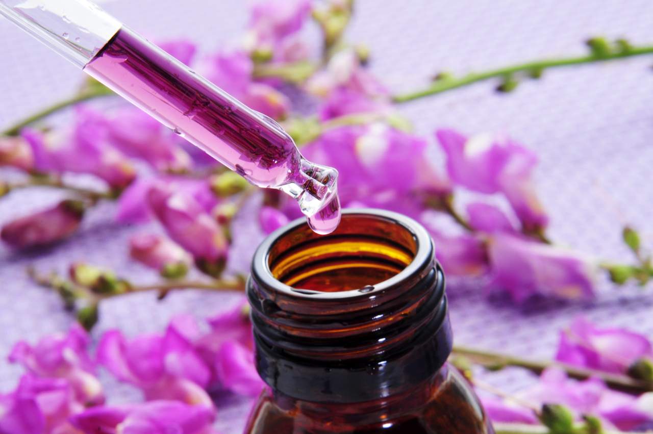 Flores de Bach: terapia floral para vivir mejor