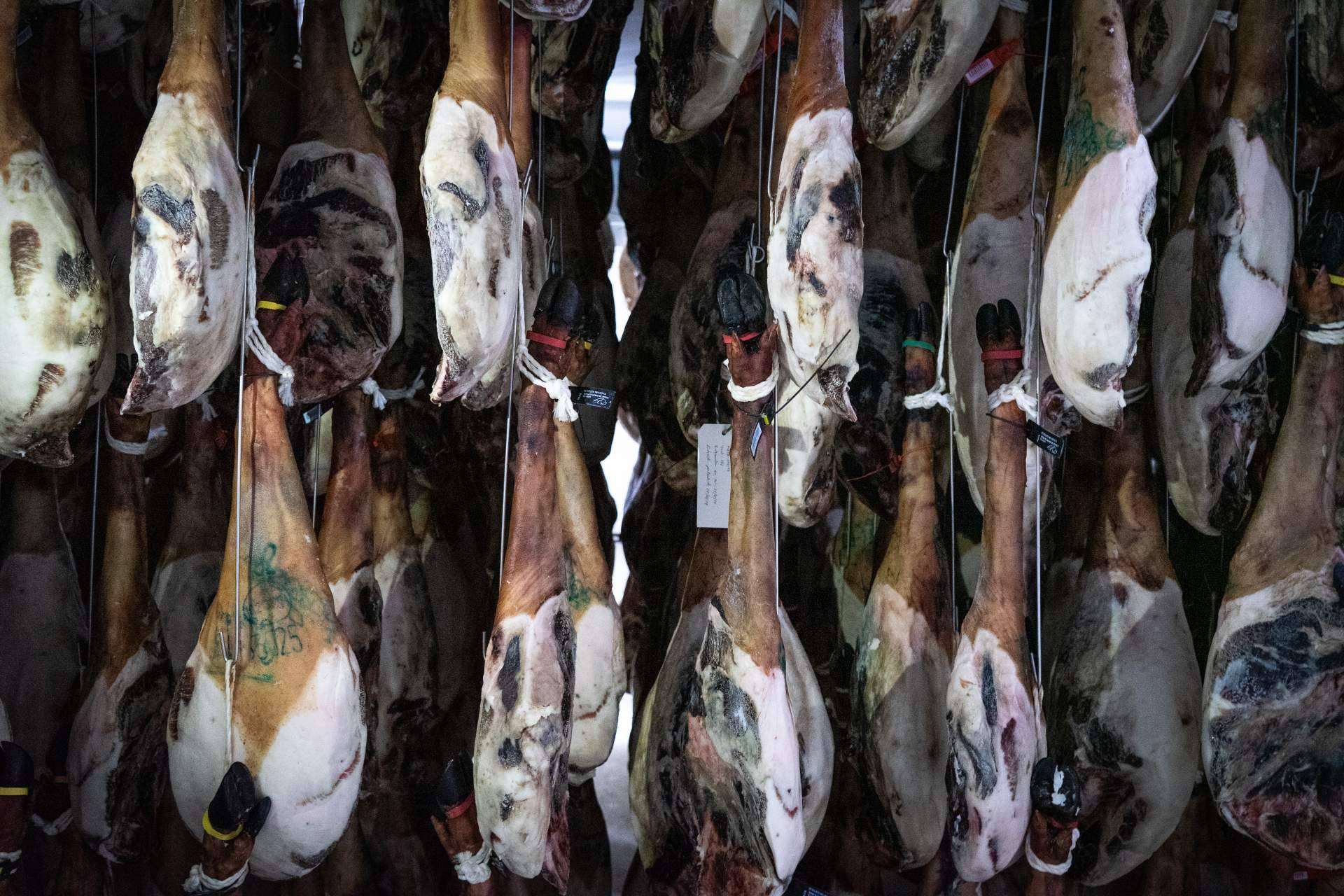 El jamón ibérico de bellota y sus beneficios
