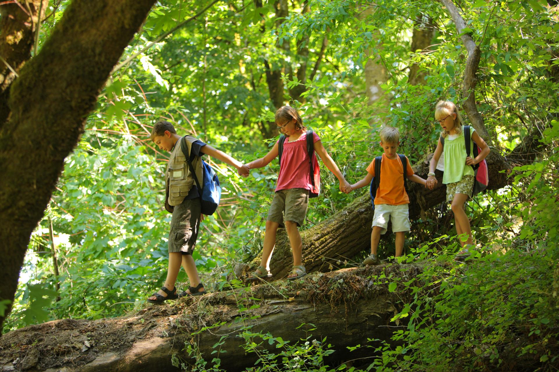 Campamentos de verano multiaventura con Aventurarte 2021: La vuelta al mundo