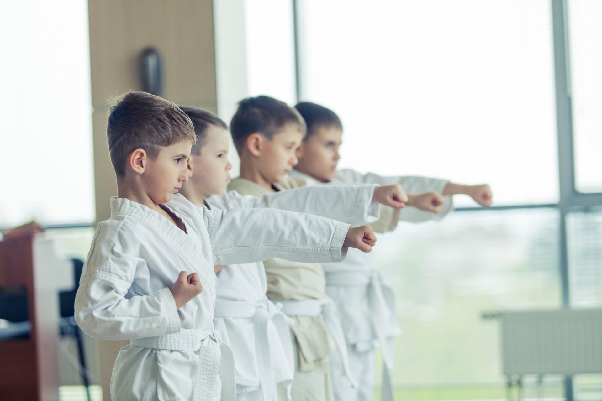 El Dojo, Escuela de Artes Marciales y Kenpo Kai situada en Madrid, es elegida como una de las principales opciones como extraescolar