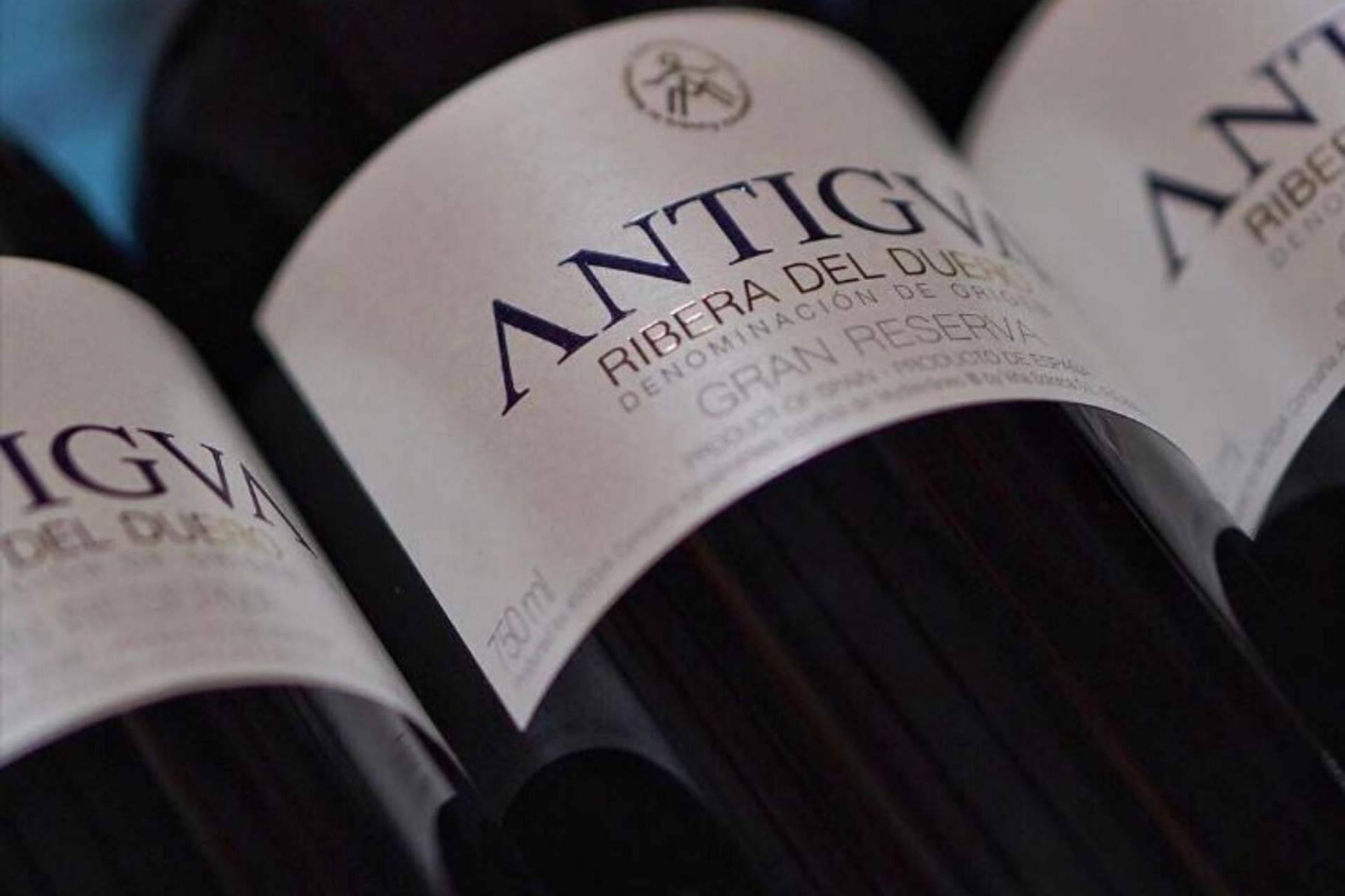 La innovación en el mundo de los vinos que aporta Antigva