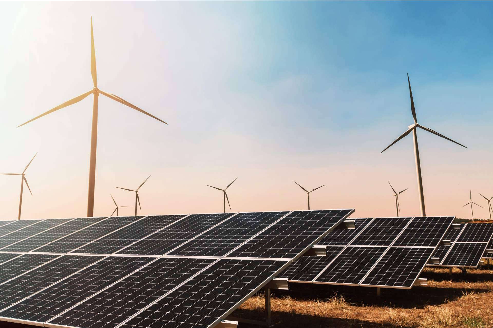 Ipostar: la empresa comprometida con el medio ambiente que ofrece energía limpia y soluciones energéticas de autoconsumo