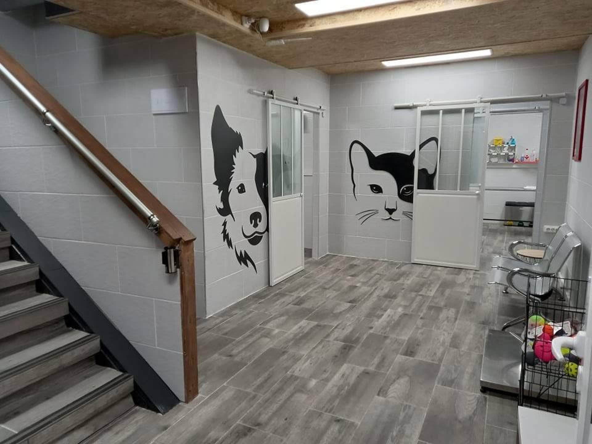 Amaita Mascota es una clínica veterinaria Irún que cuenta con un servicio de urgencias 24 horas