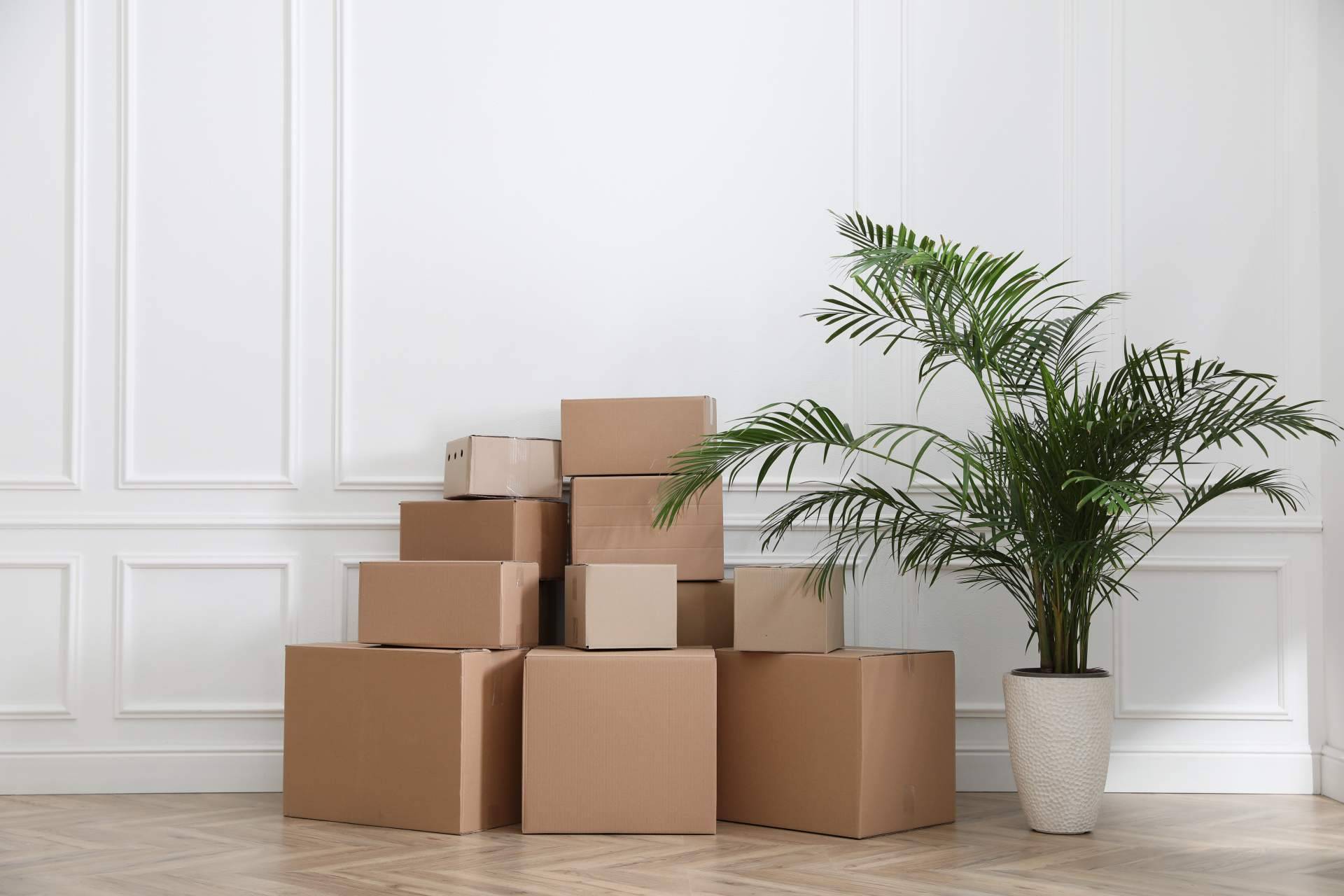 Servicios de mudanzas en Barcelona: Cajas Mudanza BCN