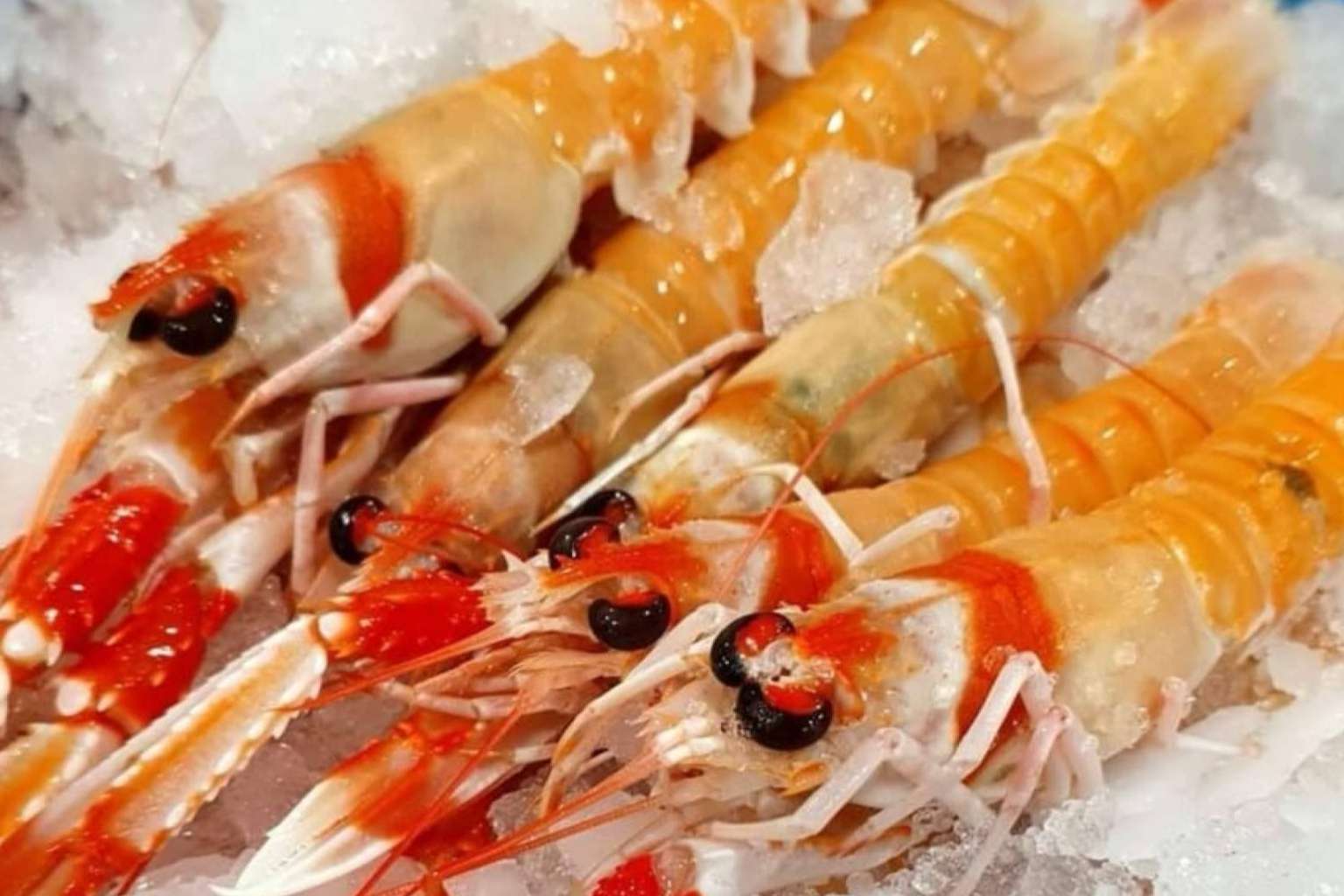 Comprarpescadoonline.es: el símbolo del pescado y marisco fresco de calidad