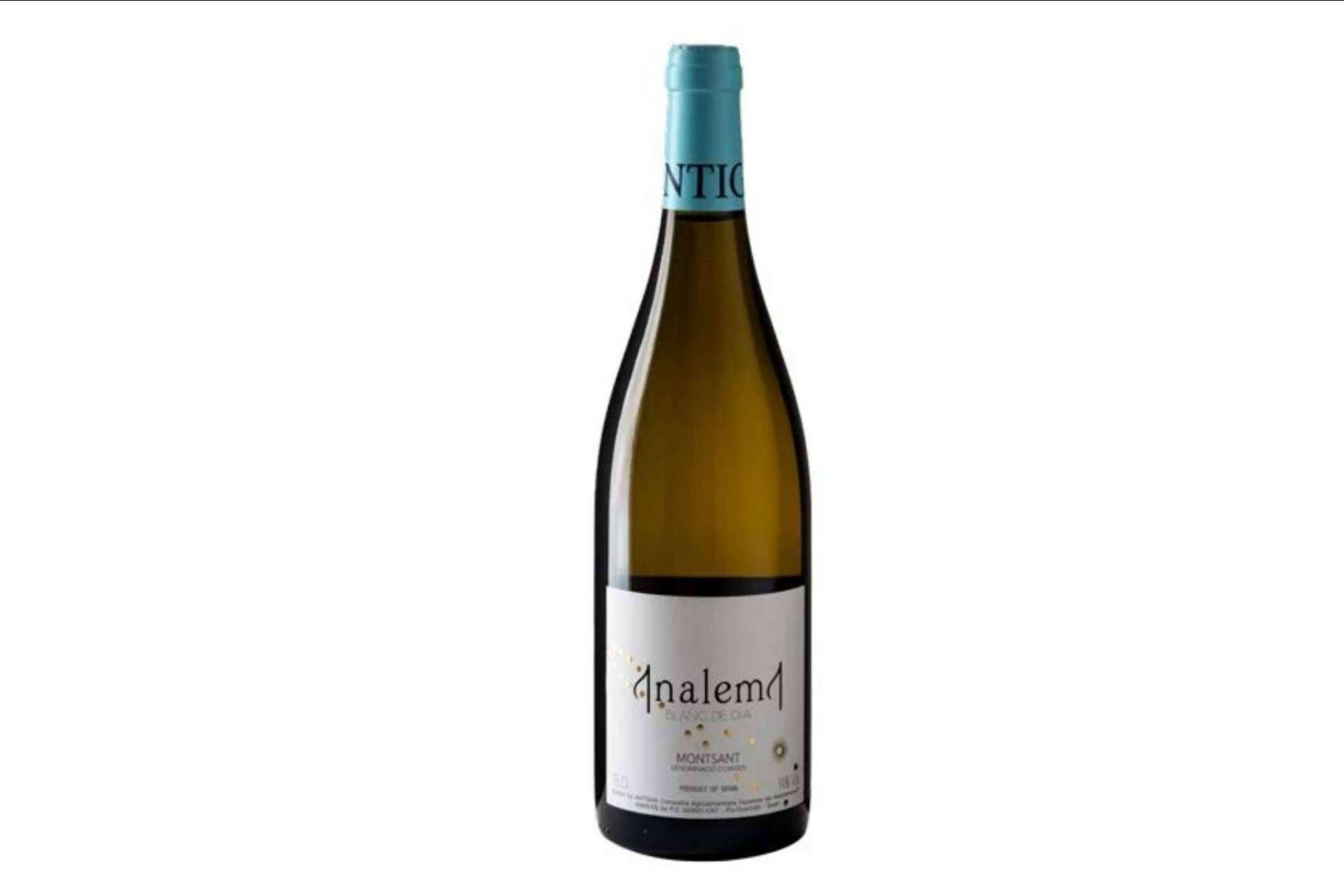 Presentación de la colección de vinos Analema de serie limitada de Antigva