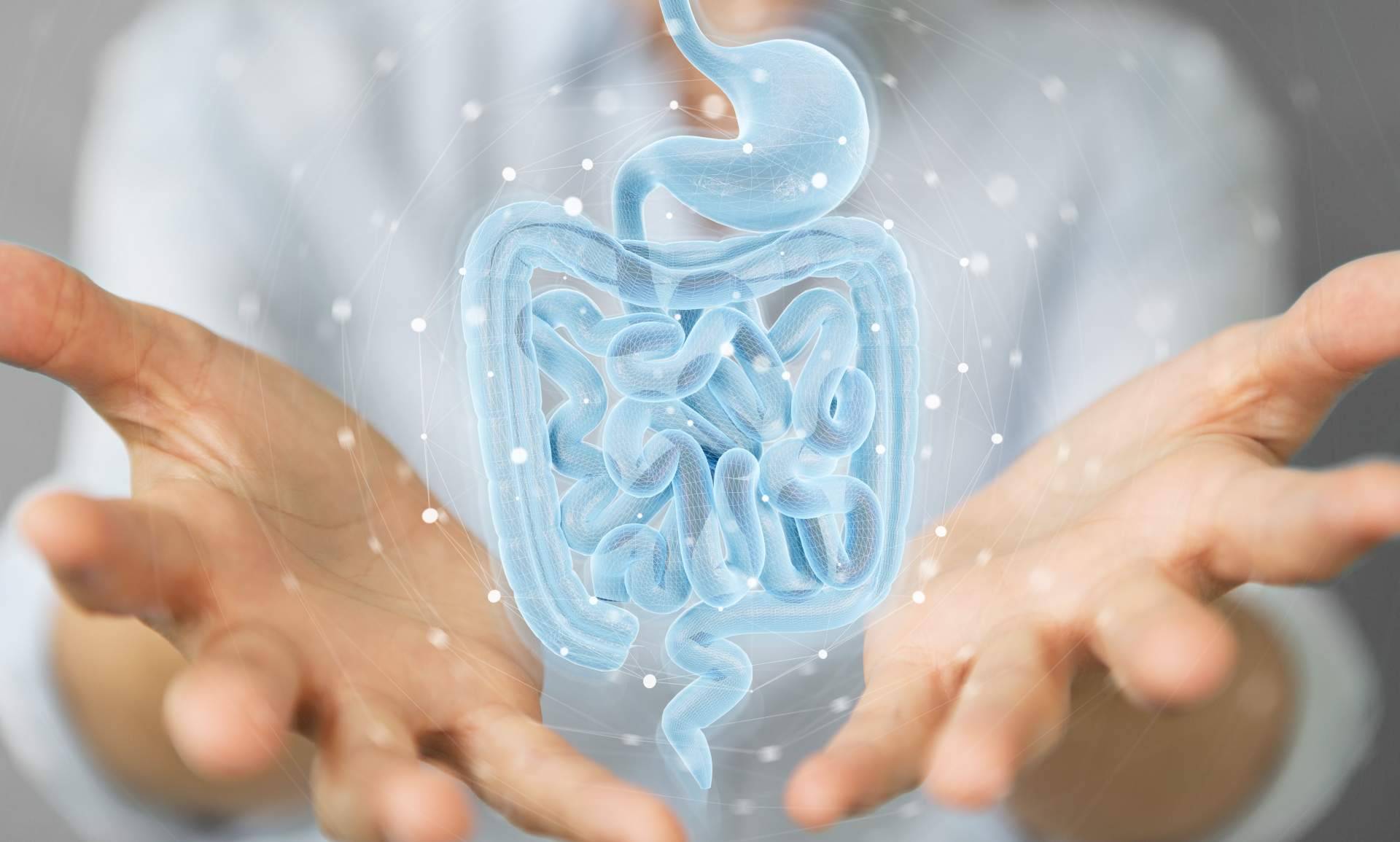Tratamiento del SIBO y tratamiento del LIBO, uno de los máximos exponentes profesionales del país da sus claves para mejorar las tasas de éxito terapéutico