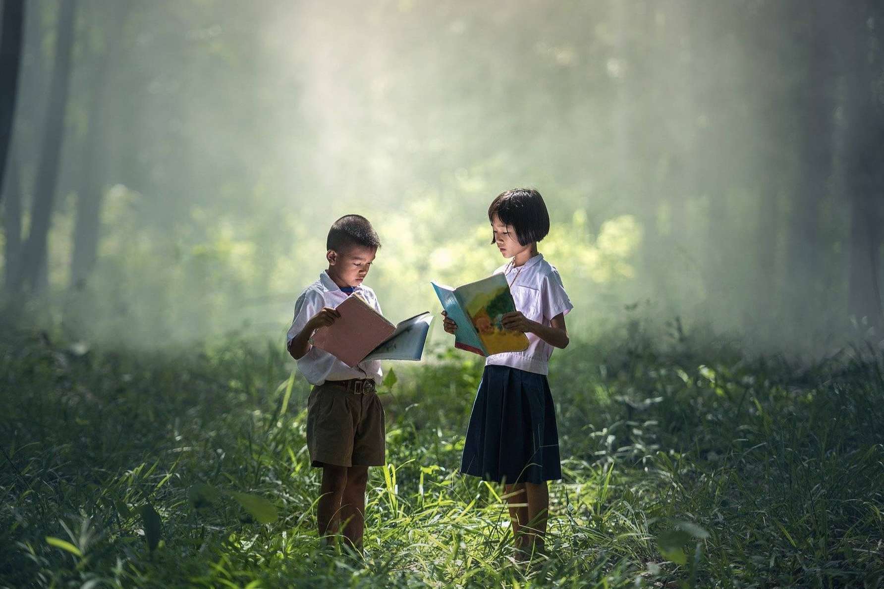 Luchar contra el cambio climático a través de los centros escolares con Ecoescuela