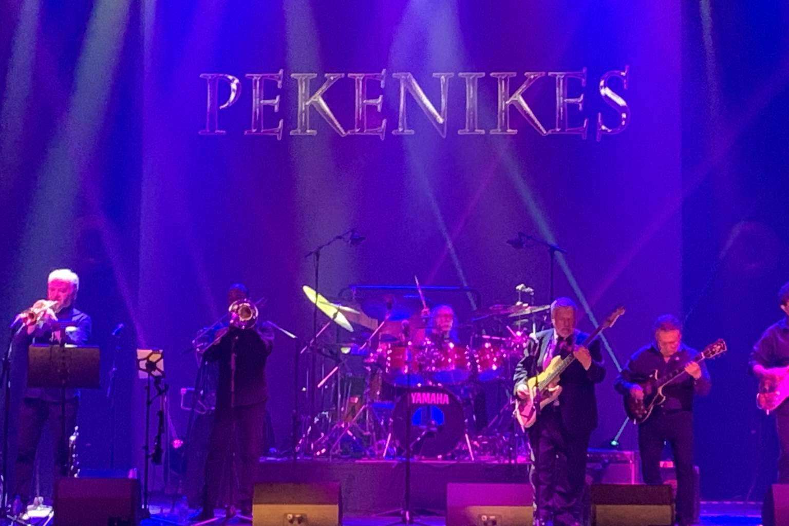 Sindi Producciones: management de artistas exclusivos, como Camilo Sesto, Jeanette o Los Pekenikes