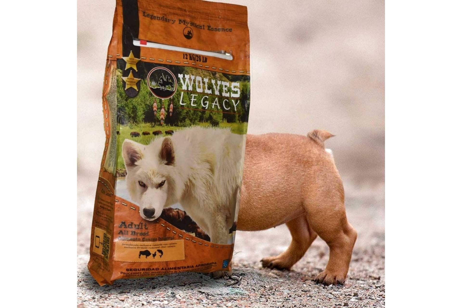 Los mejores piensos para perros: Wolves Legacy ¿Deberían ser variados?