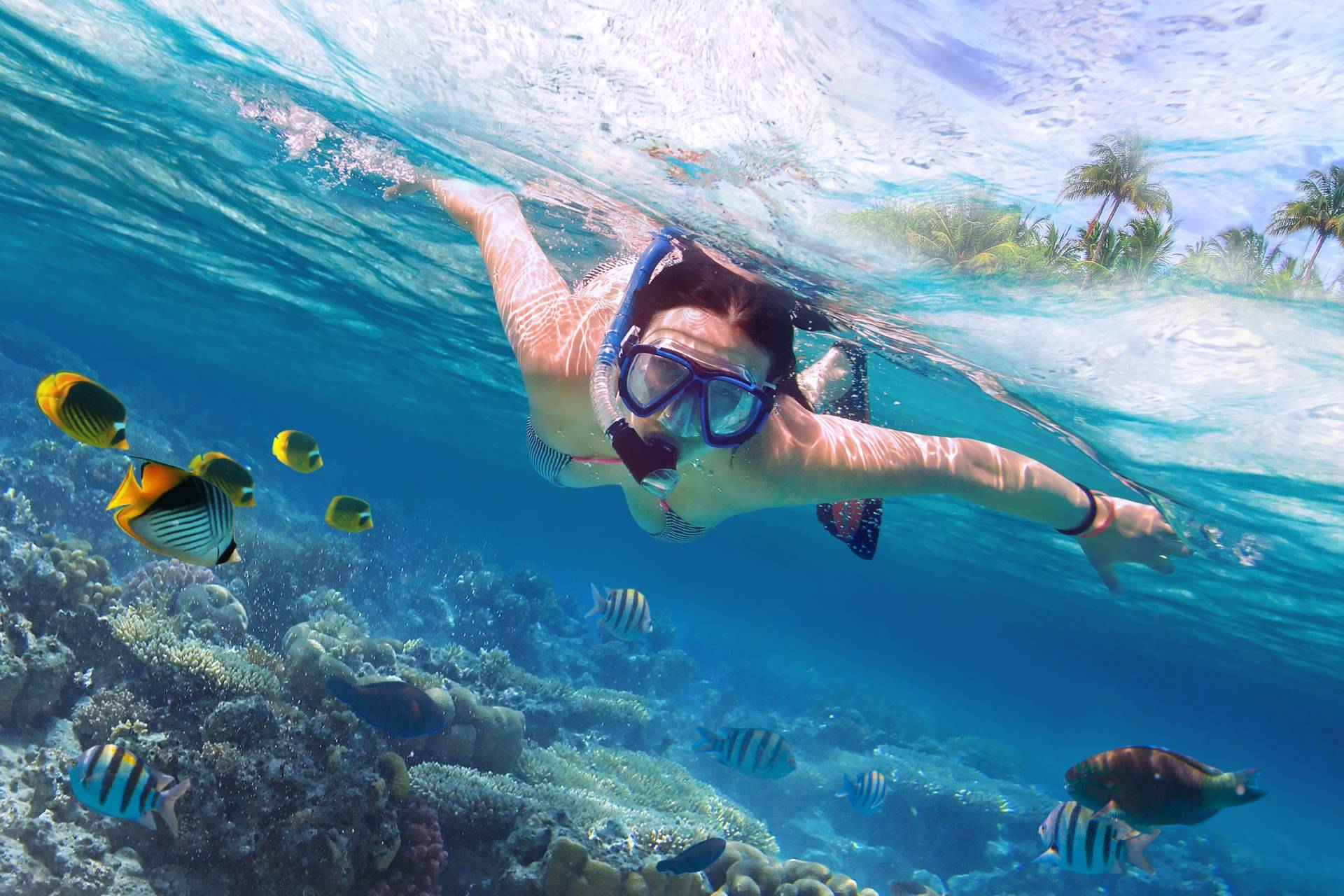 Felices Vacaciones ofrece múltiples propuestas para los españoles que buscan el sol en el Caribe durante el invierno