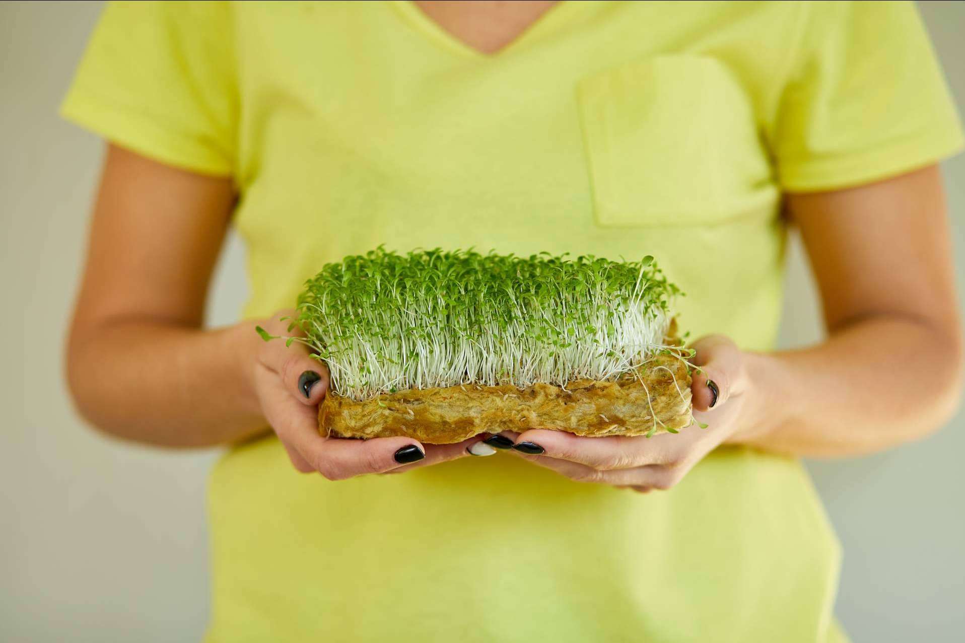 ¿Qué hace que a un alimento se le considere como un superalimento?, según Mediterranean Superfoods