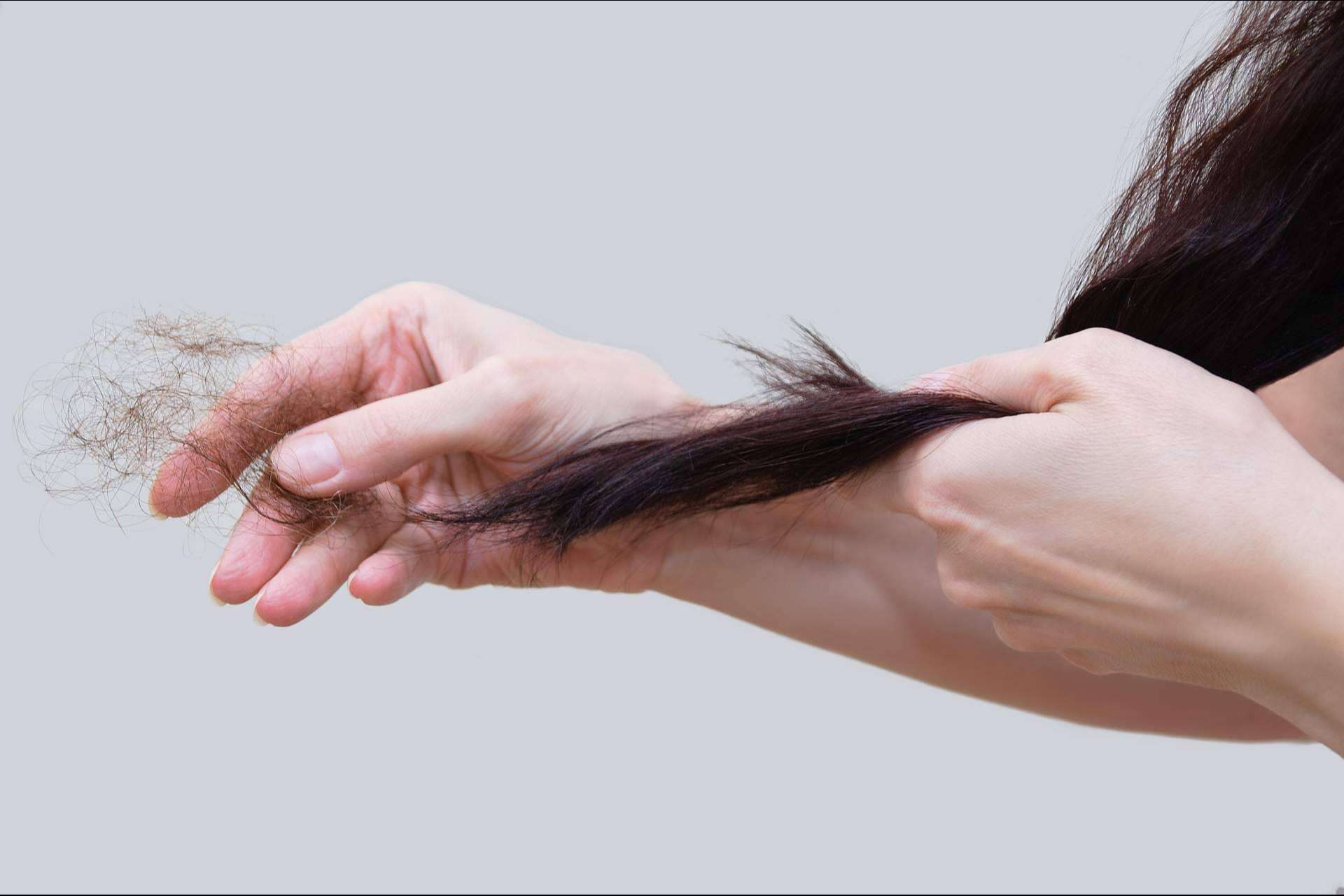 Los motivos de la sequedad de la piel y la caída de cabello en otoño, por Géomer