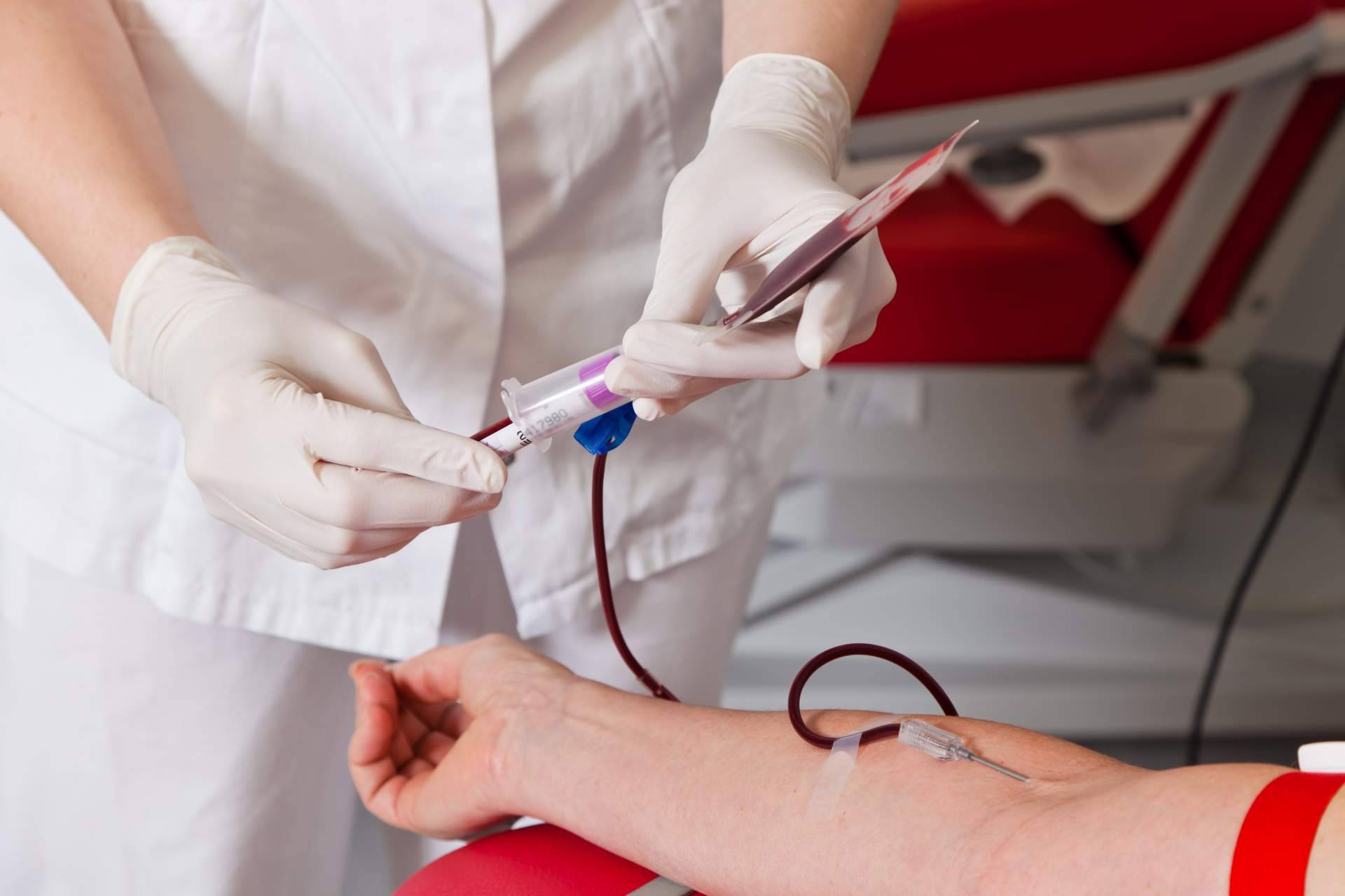 Ayurveda Medicina Natural habla de las ventajas de donar sangre en otoño y primavera, una acción solidaria que beneficia la salud