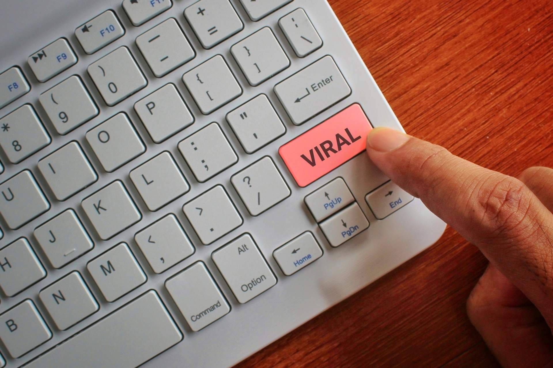 La plataforma online NotiFresh reúne las mejores noticias virales del momento