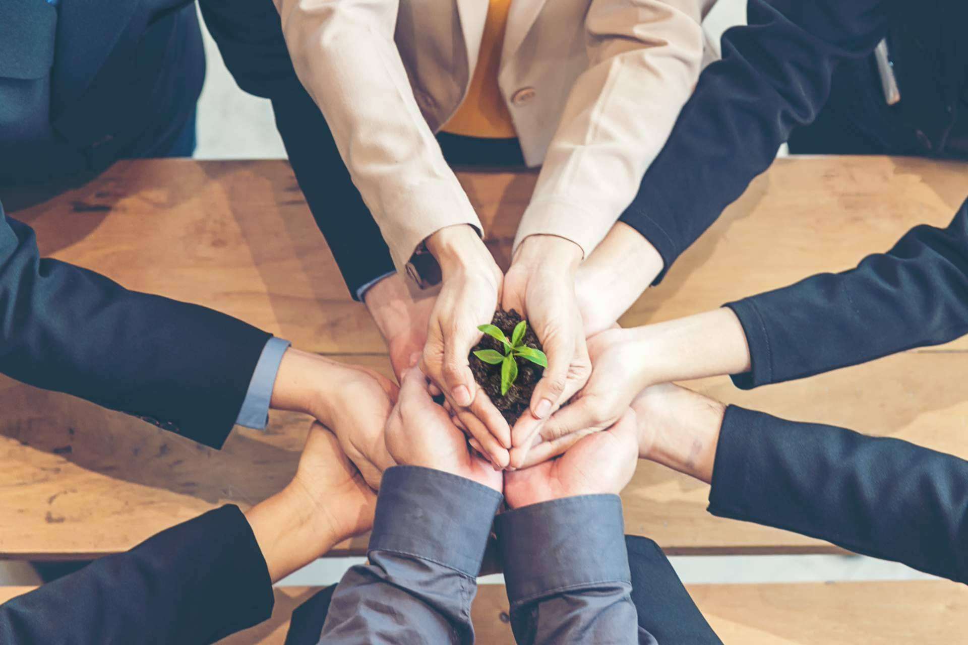La responsabilidad ambiental empresarial, por Ipostar