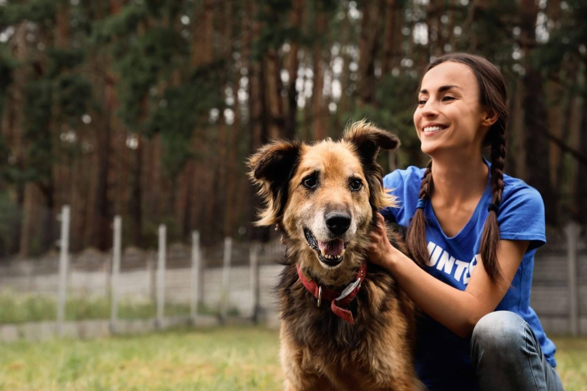 Las ventajas del buscador de animales en adopción Adopta Un Animal