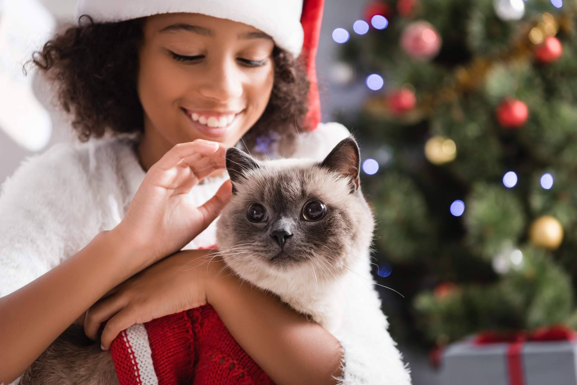 Navidad en familia multiespecie, incluir los perros y gatos en las fiestas