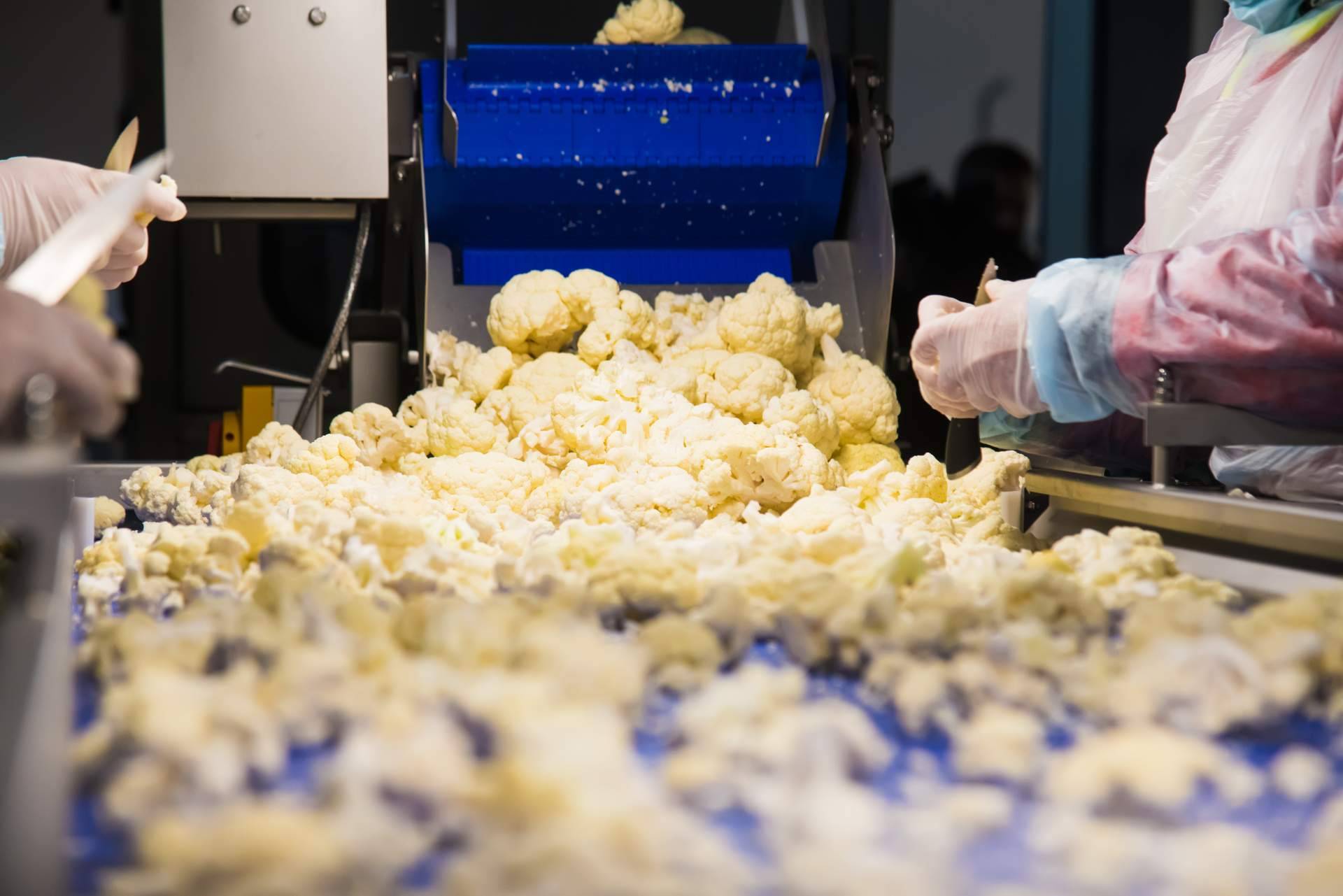 La importancia del software adecuado a la hora de digitalizar una fábrica, por Overtel