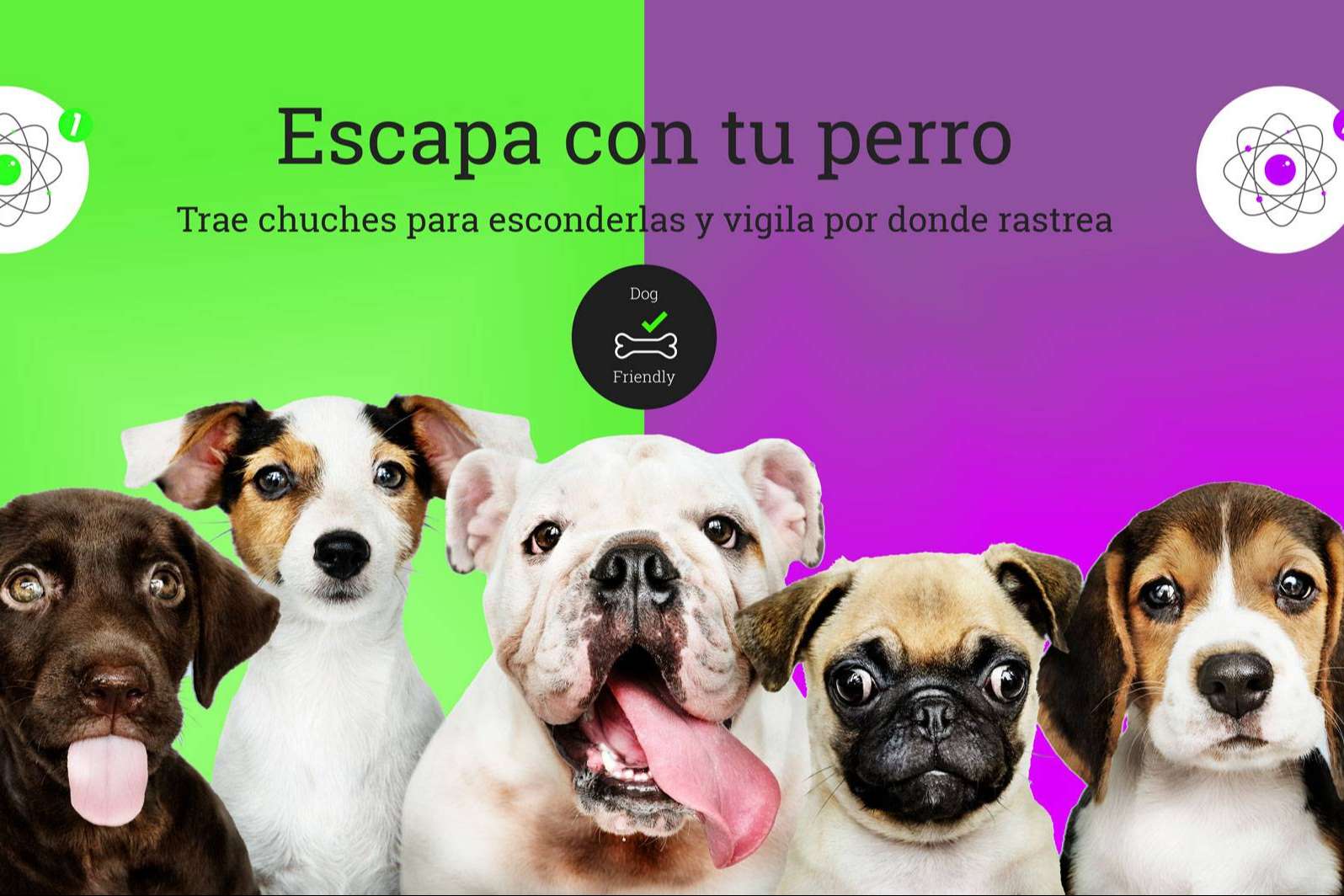 El escape room dogfriendly en Barcelona para disfrutar con perros es Cronologic