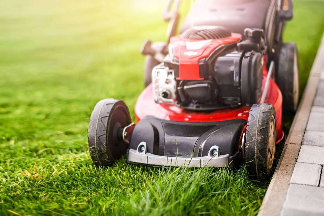 Realizar el mantenimiento integral de jardines y parques de empresas con Grupo Sileb