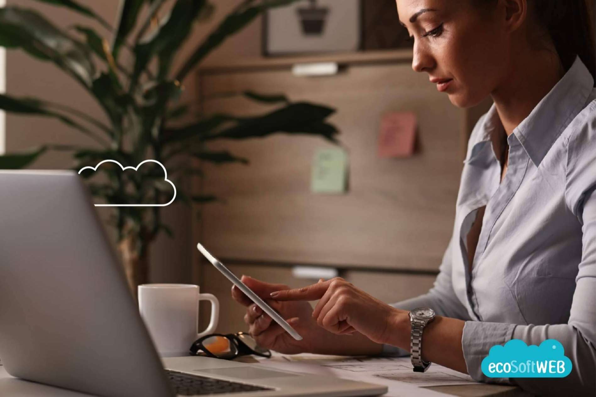 ecoSoftWEB, el software para empresas de ecoSoft Consulting