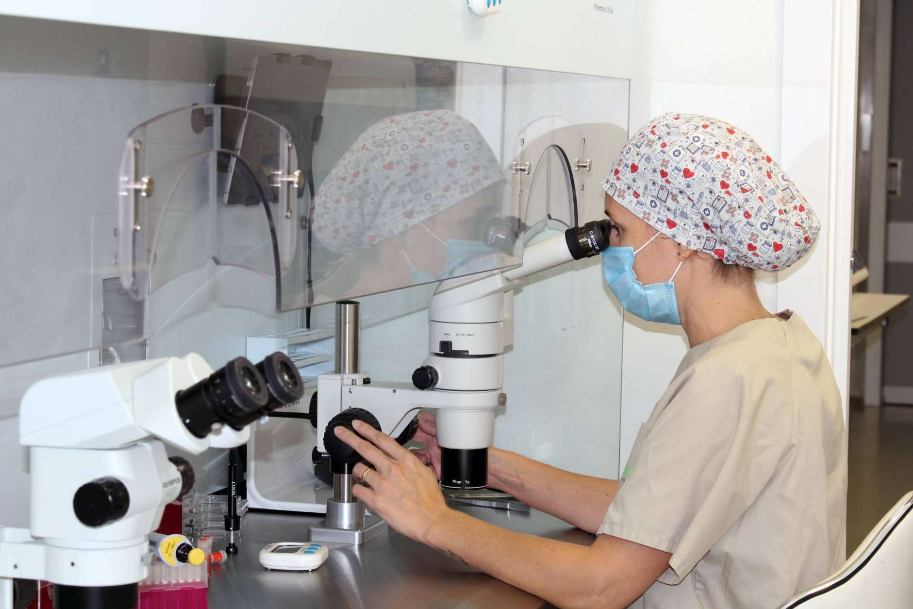 Las clínicas Vida Fertility Institute son pioneras en mejorar la fertilidad femenina con medicina regenerativa
