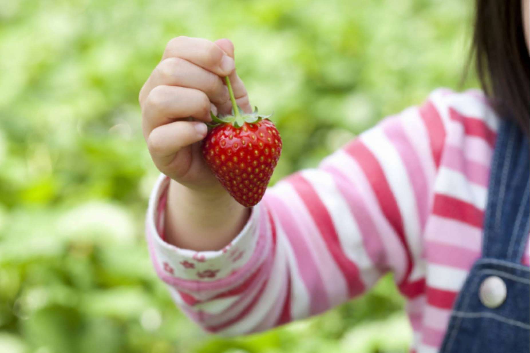 La clínica Alzenit explica la importancia de una buena nutrición infantil