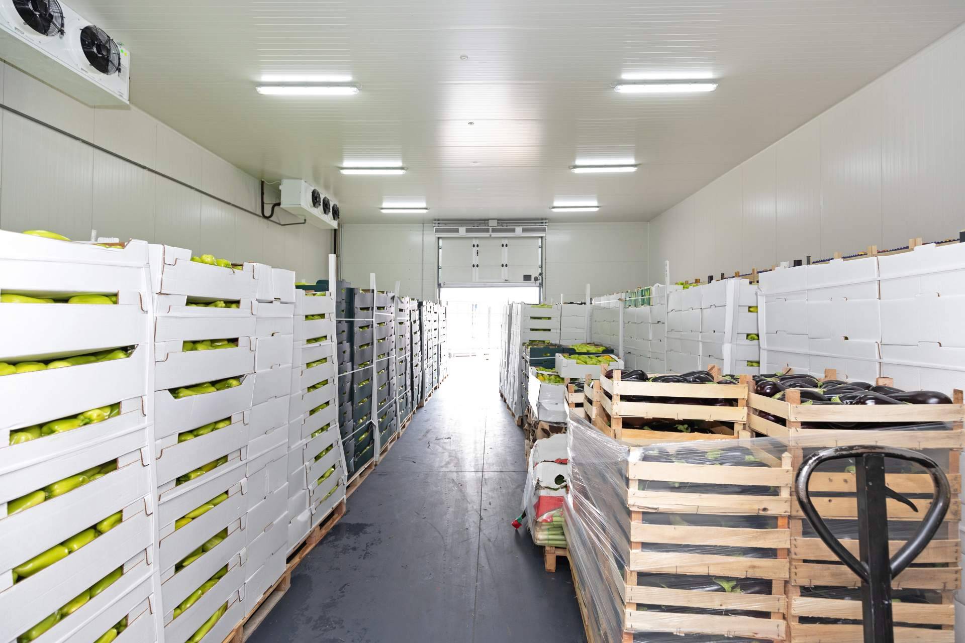 Frío industrial para la conservación de productos con las altas temperaturas, por Grupo Alisios