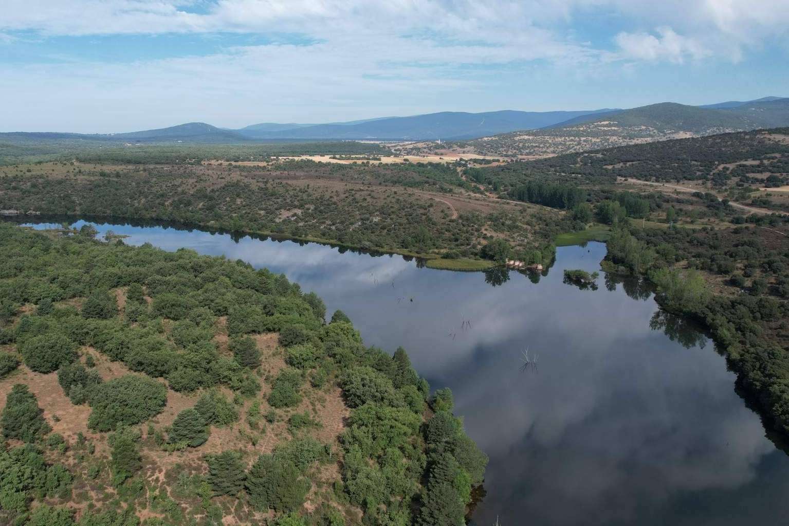 El papel de los bosques en la absorción de CO2