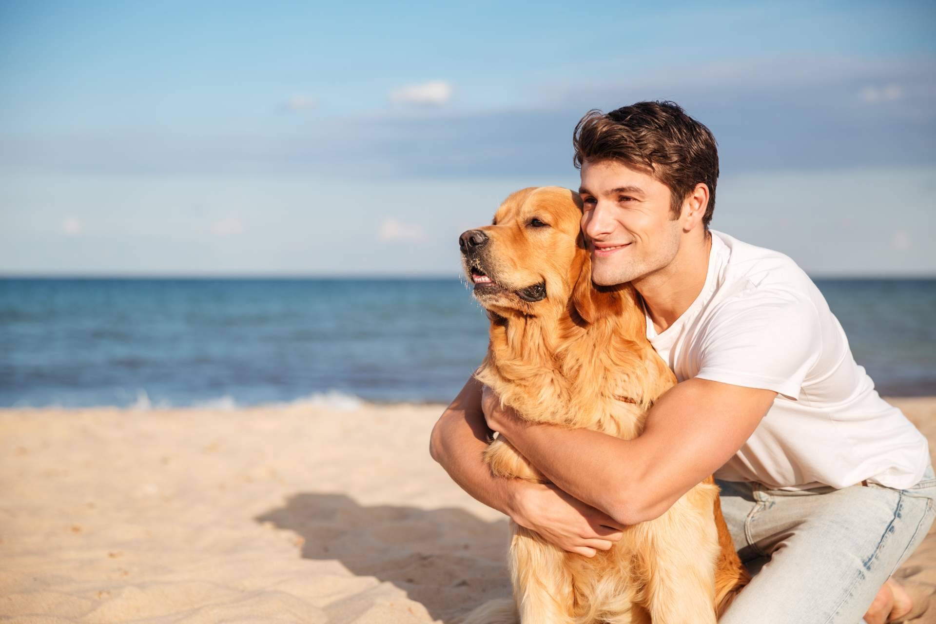 Adoptar perros en verano, una forma para evitar que las protectoras colapsen