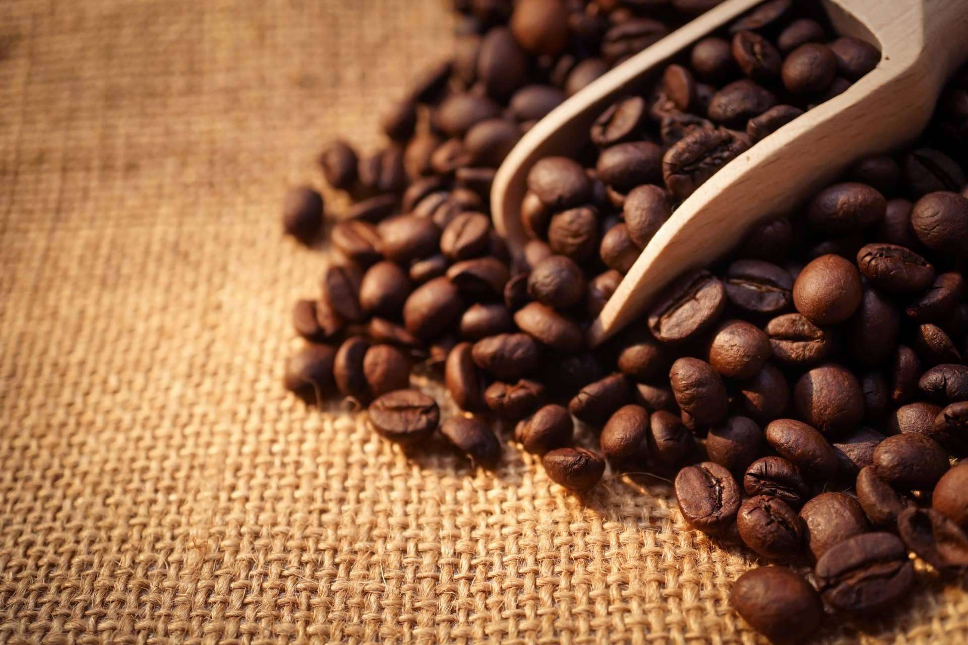 Orisens ofrece Xtrong, un nuevo café ecológico de alta intensidad