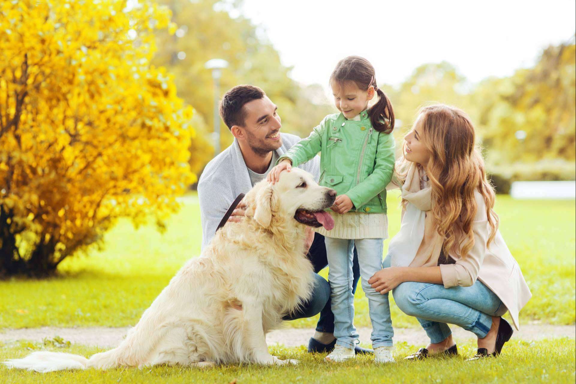 Los seguros de mascotas de Barkibu para perros y gatos