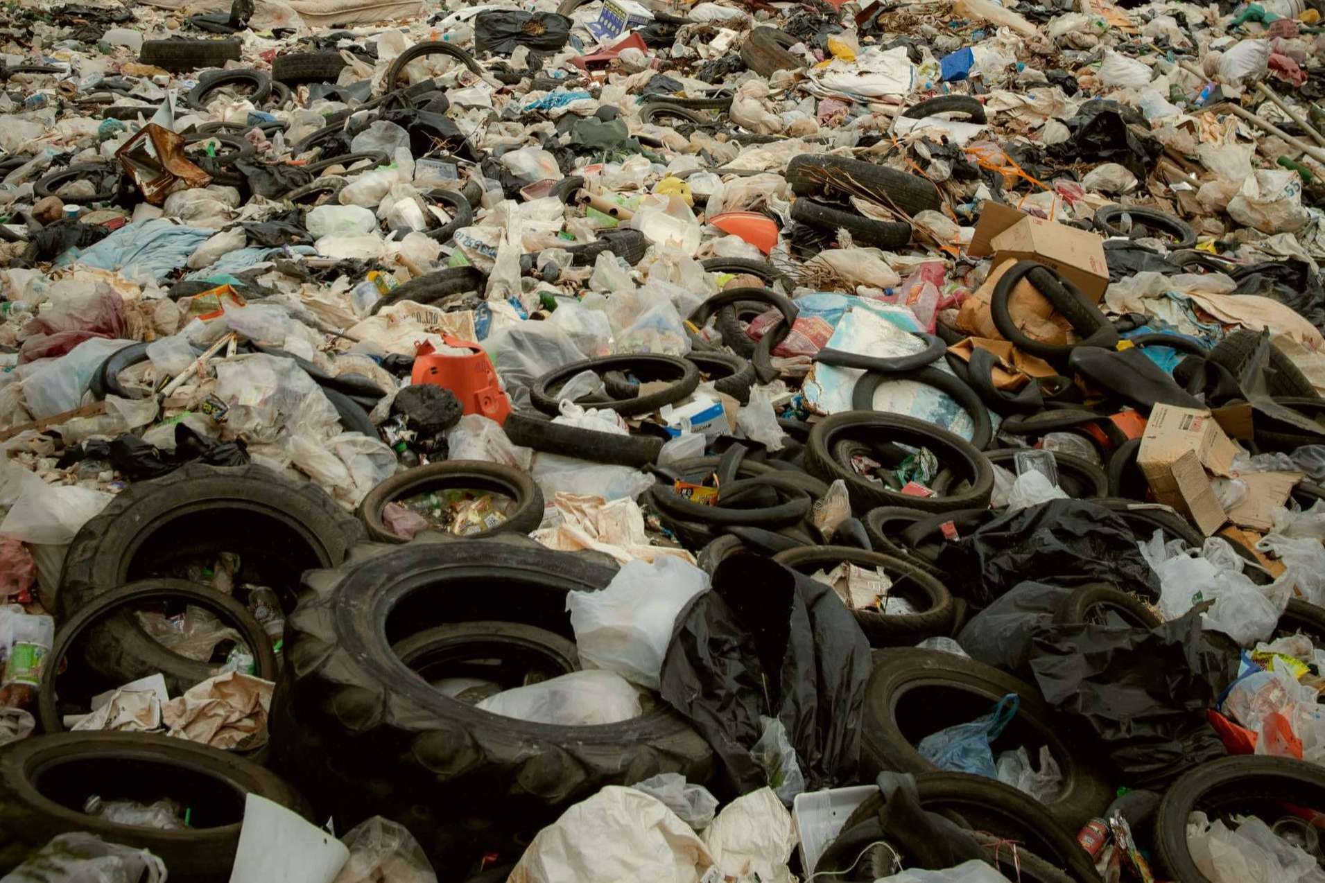 La importancia de la economía circular y la valorización de residuos en la actualidad, la propuesta de recircular