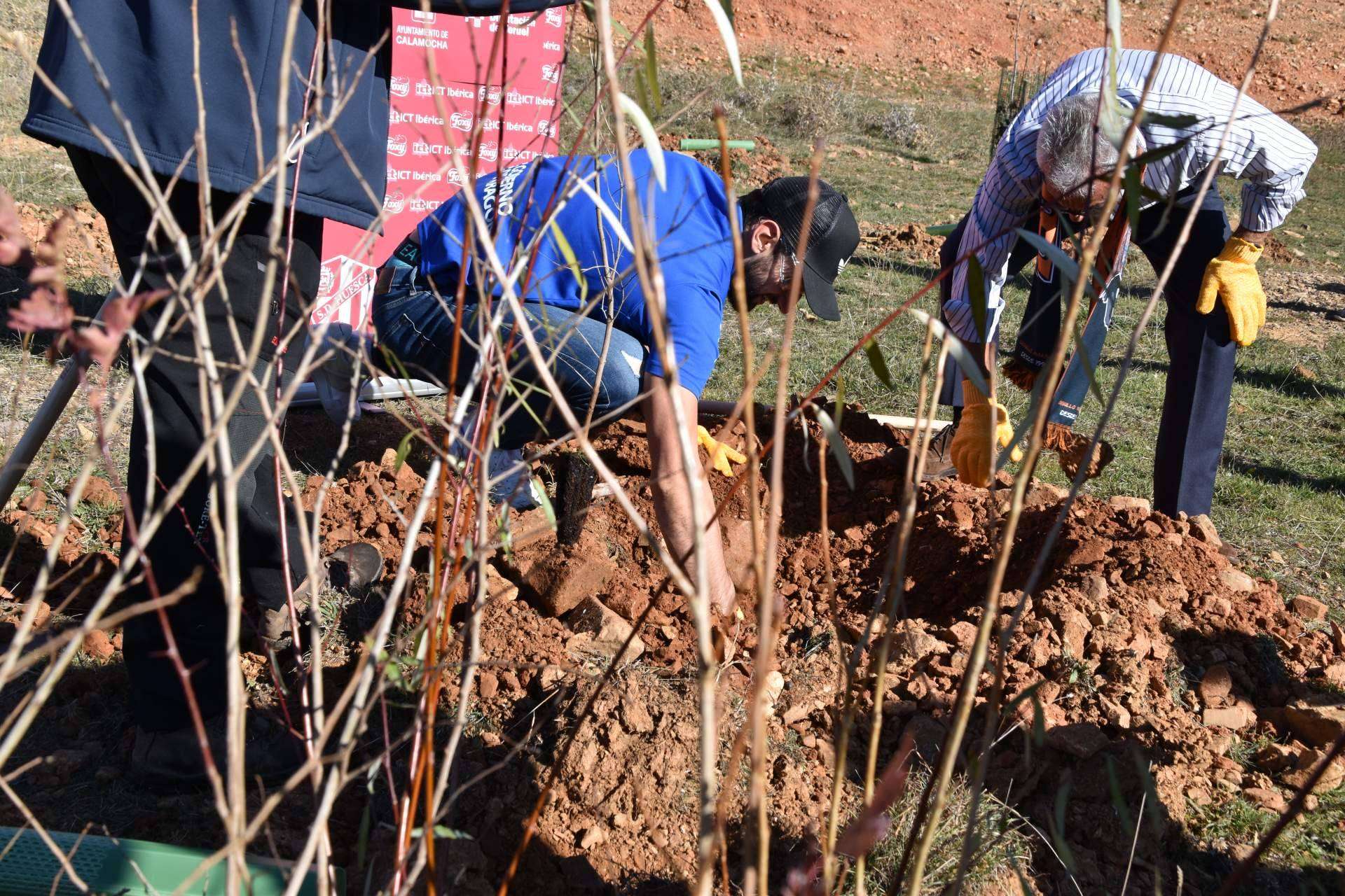 Las ventajas de los planes de RSC medioambientales, la plantación de árboles y apadrinamiento de bosques