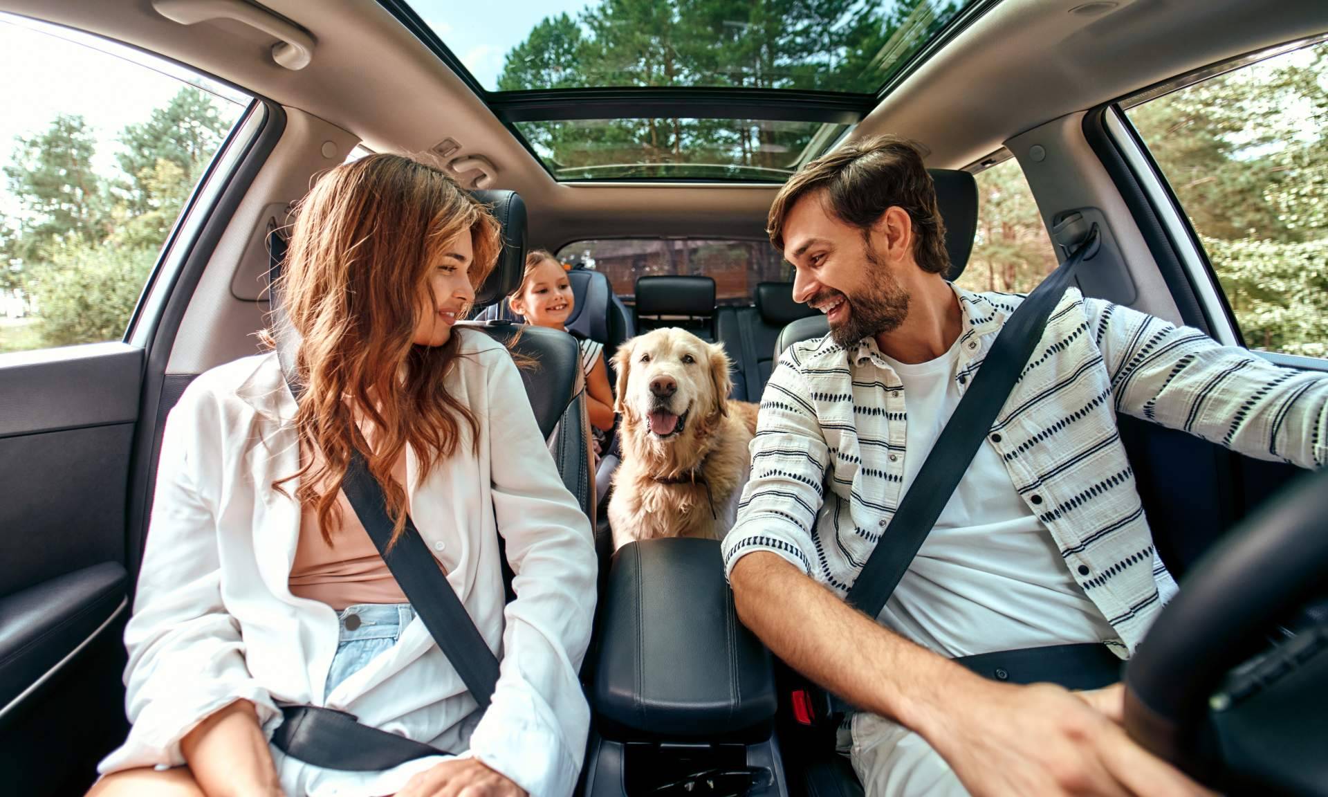 Tener un seguro de viaje para mascotas con Coverontrip