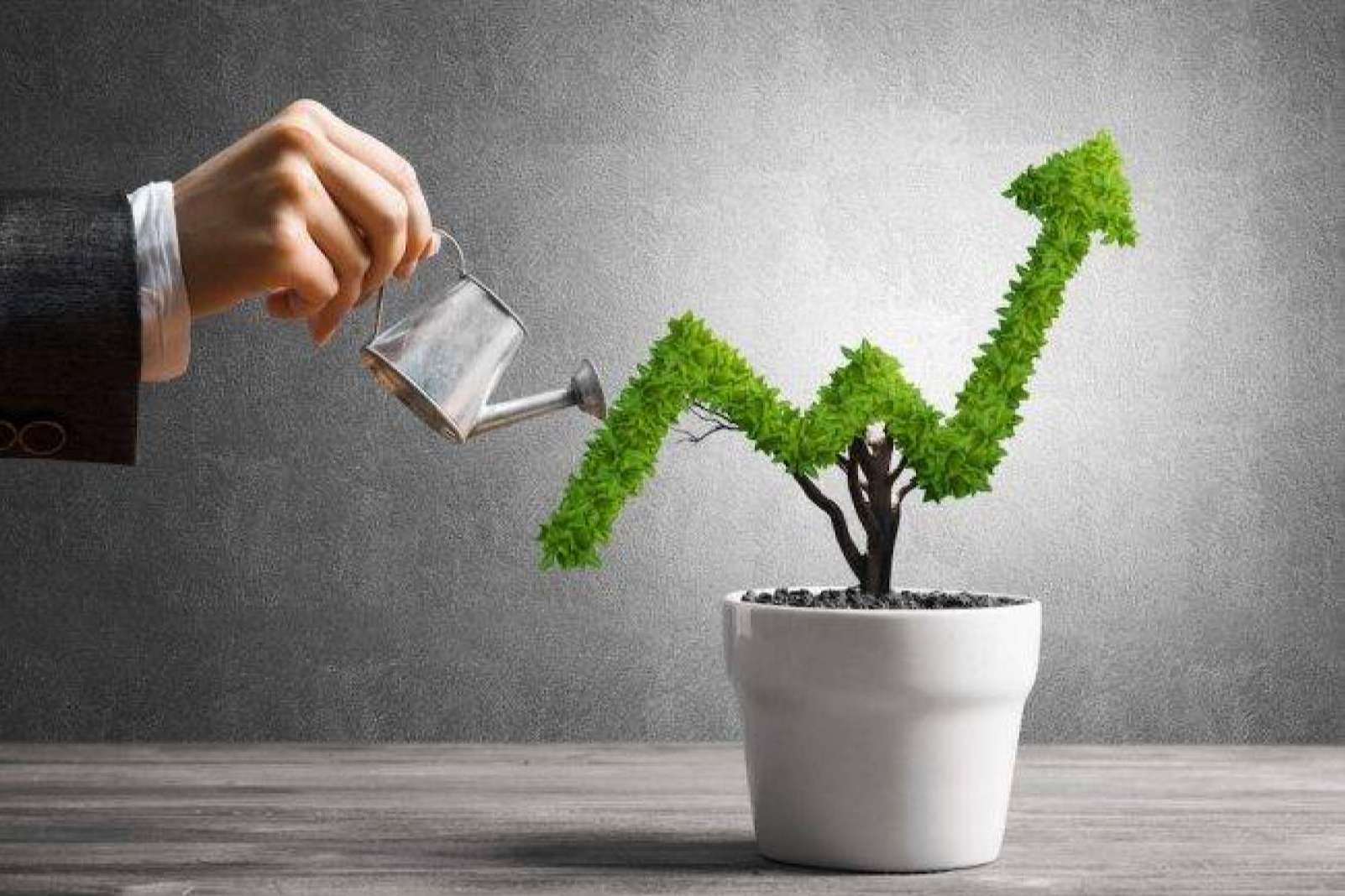 Inversiones. Wolves Legacy y mejores oportunidades