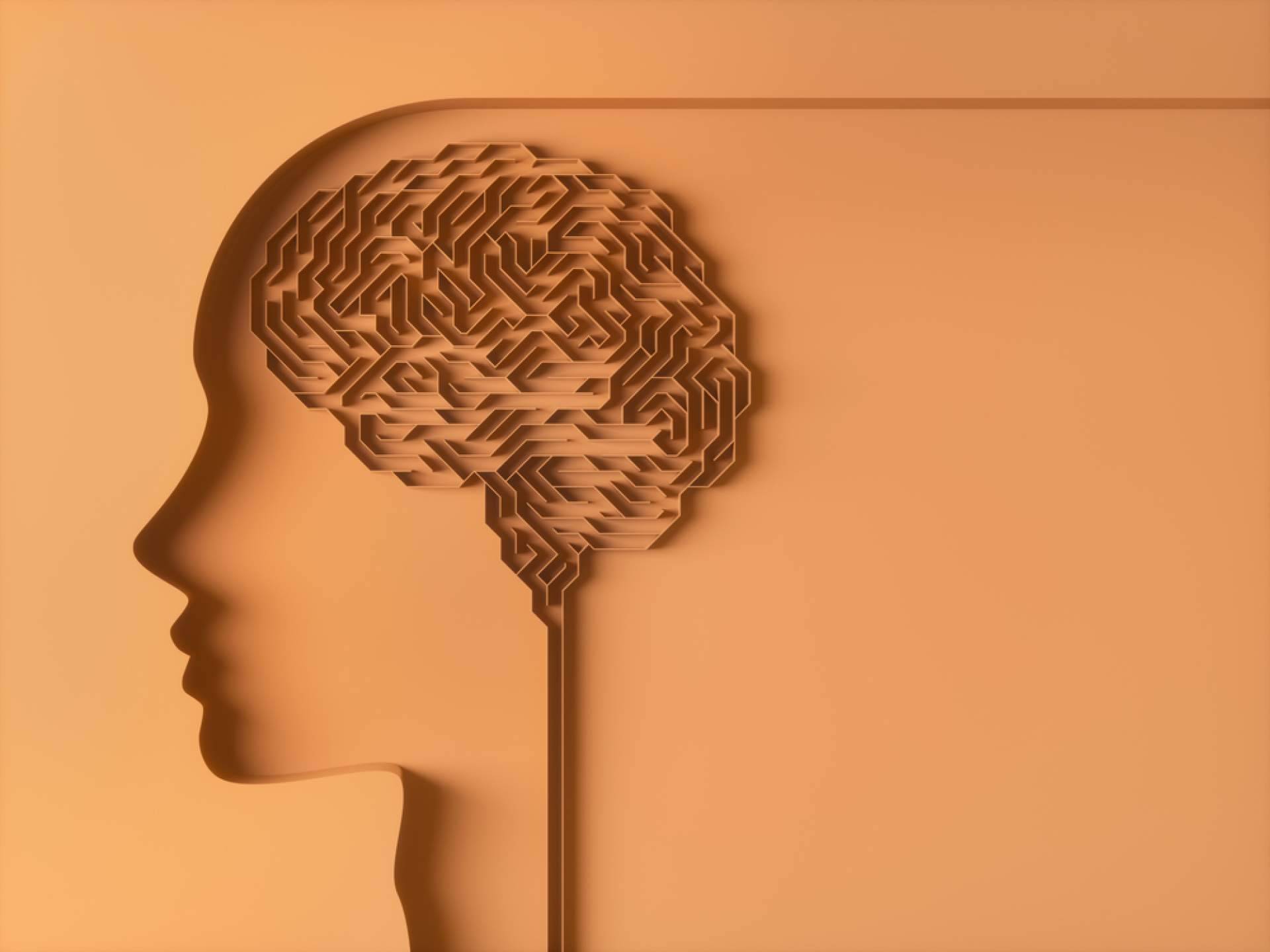 INIMA Rehabilitación está enseñando la importancia de la estimulación cognitiva