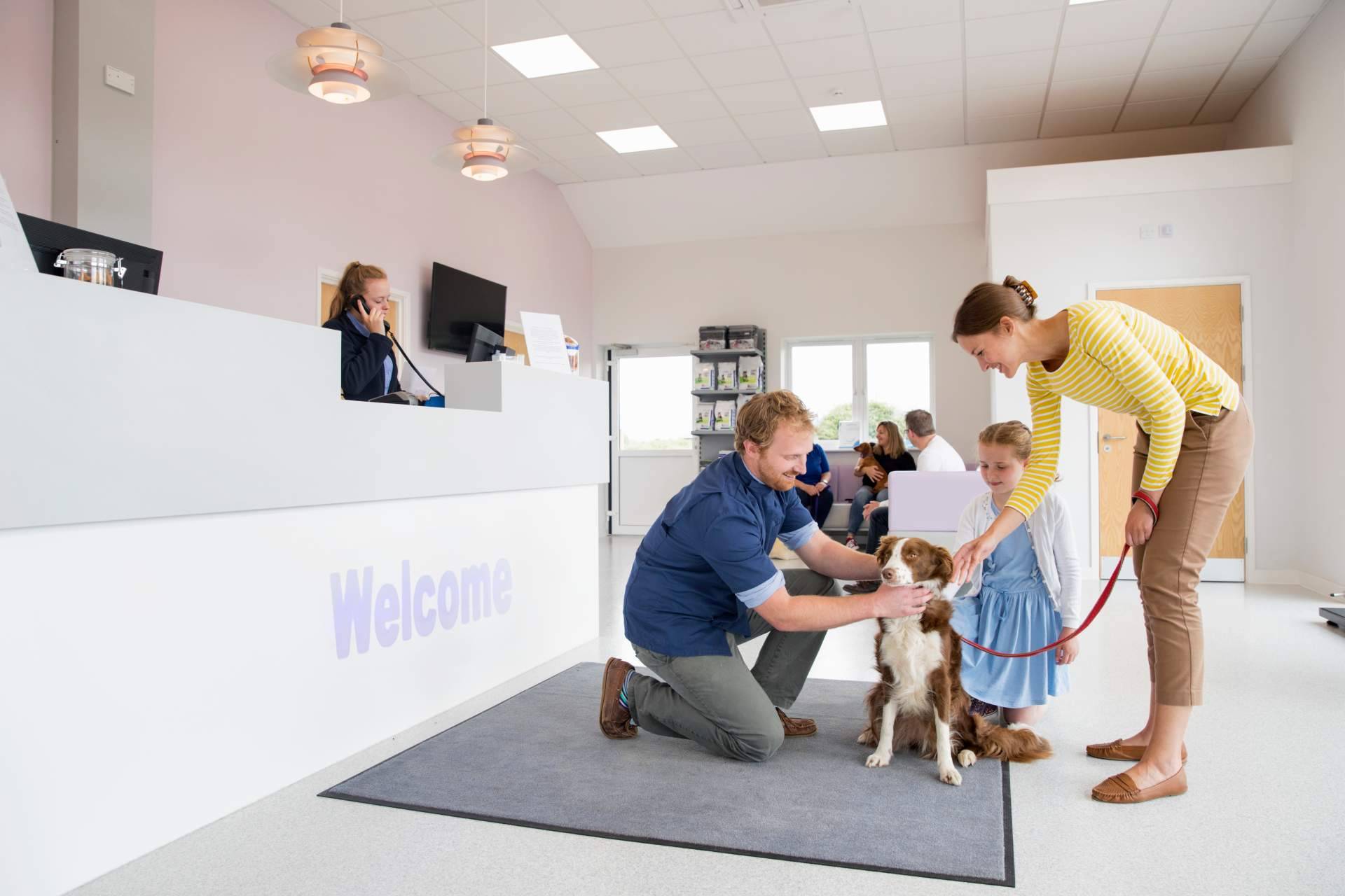 ¿Cuáles son los puntos principales de la nueva ley de protección animal?, con Miwuki Pet Shelter