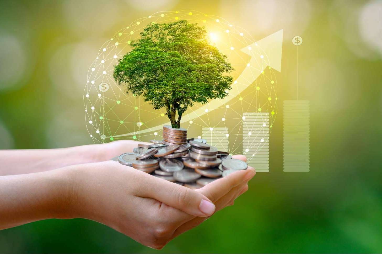 El soporte de Earthster a las empresas que apuestan por la Green Transition y la economía sostenible
