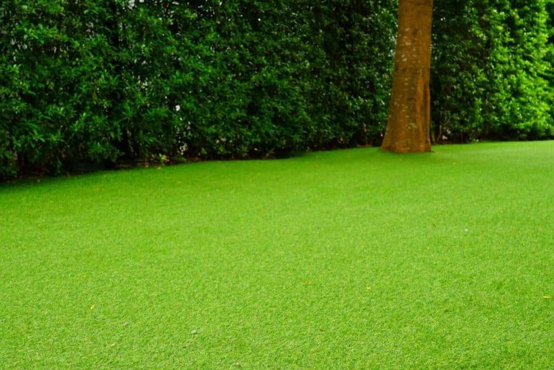 Instalar el césped artificial gracias a los 5 trucos infalibles de Albergrass