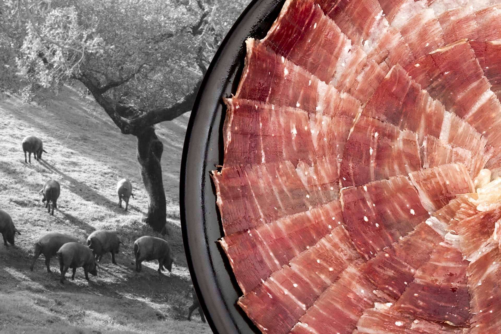Segundín, empresa galardonada por la calidad de su jamón ibérico