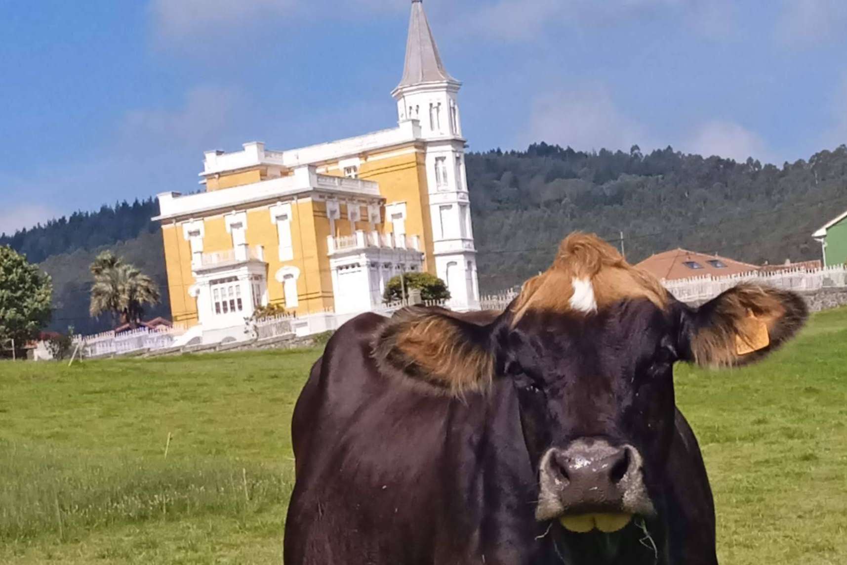 Con el Hotel Rural MonteSomao es posible pasar unas vacaciones en un espacio privilegiado rodeado de naturaleza