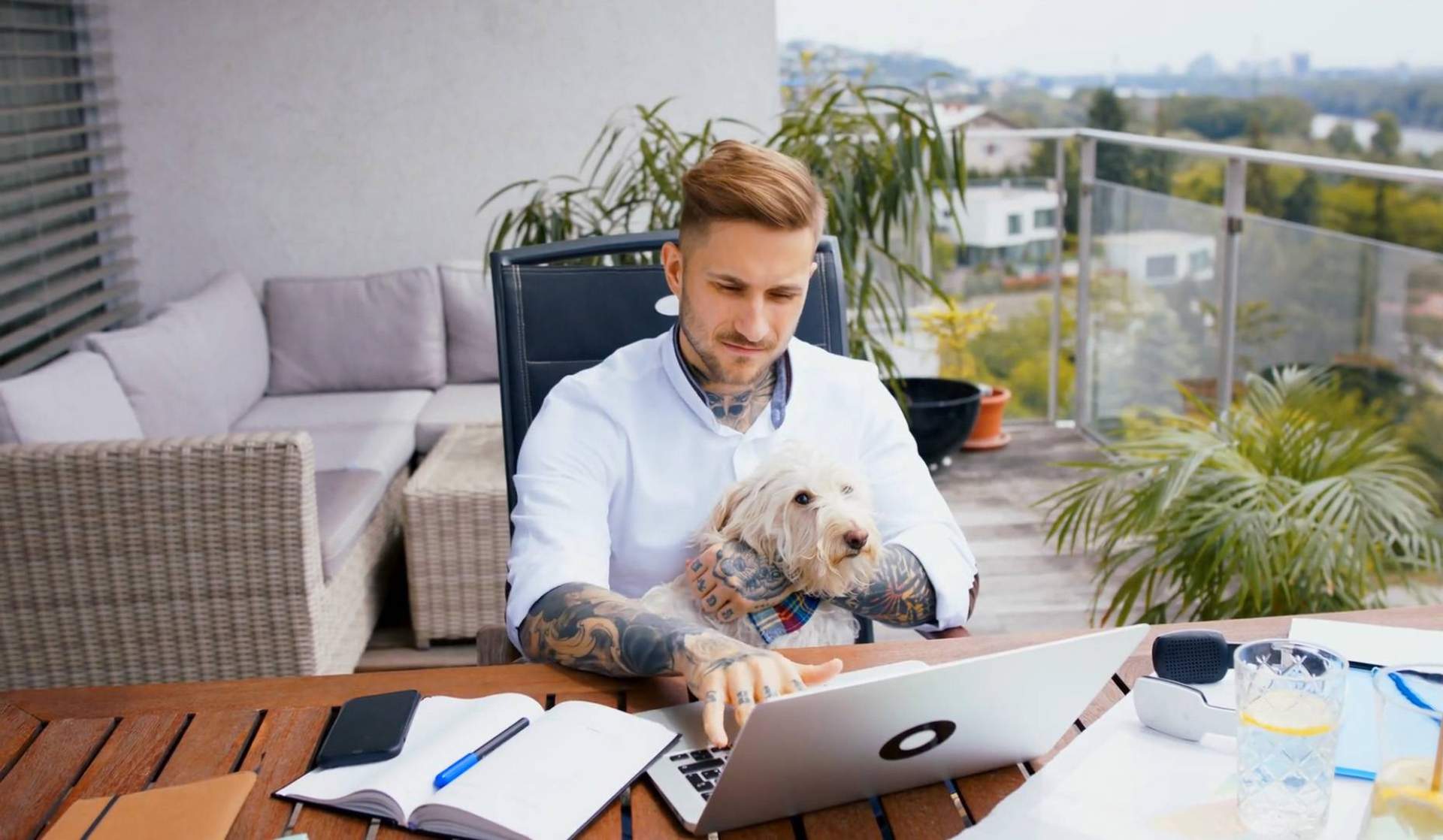 'Buscamos una agencia de marketing completa y con experiencia, y la encontramos', afirman en Wolves Legacy