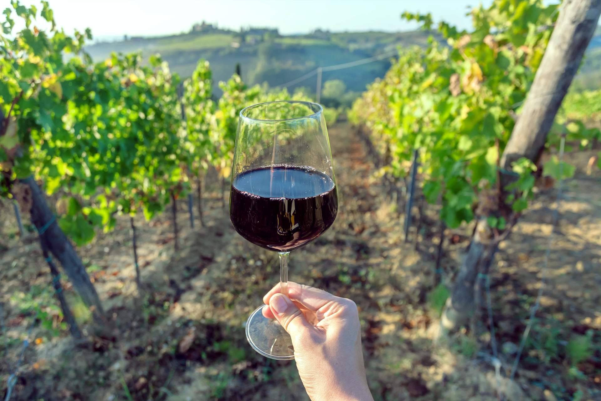 La Tintorería Vinoteca cuenta con vinos ecológicos