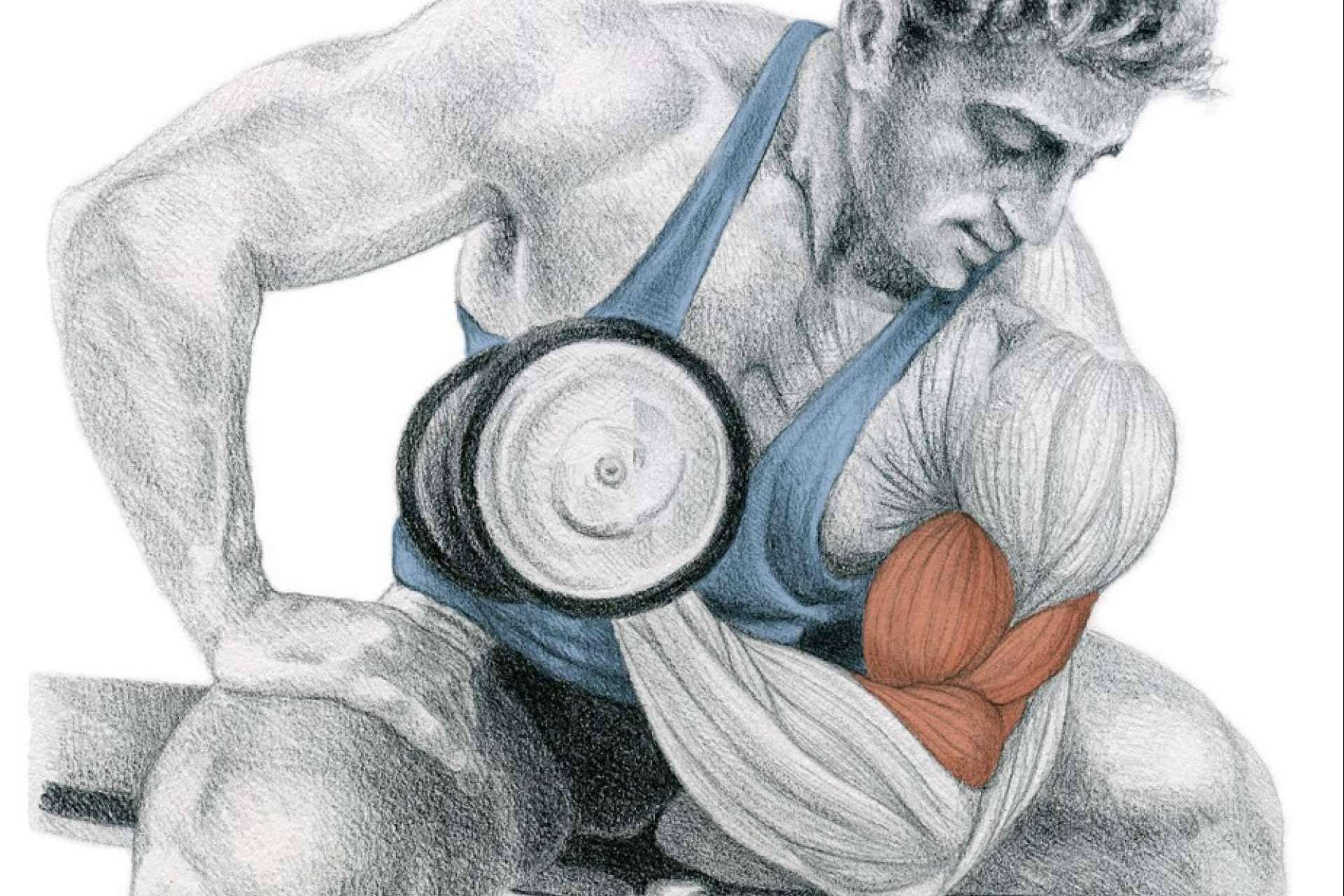 La enciclopedia de musculación de Óscar Morán, un referente a nivel mundial
