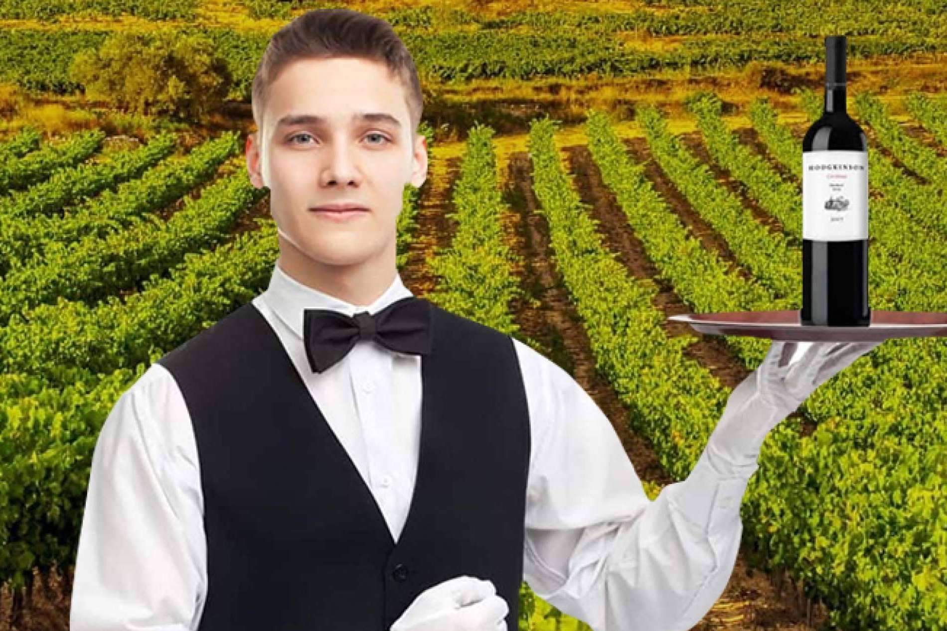 La empresa Caldeu presenta vinos Can Paloma con elaboración en Montserrat y un servicio de sommelier online