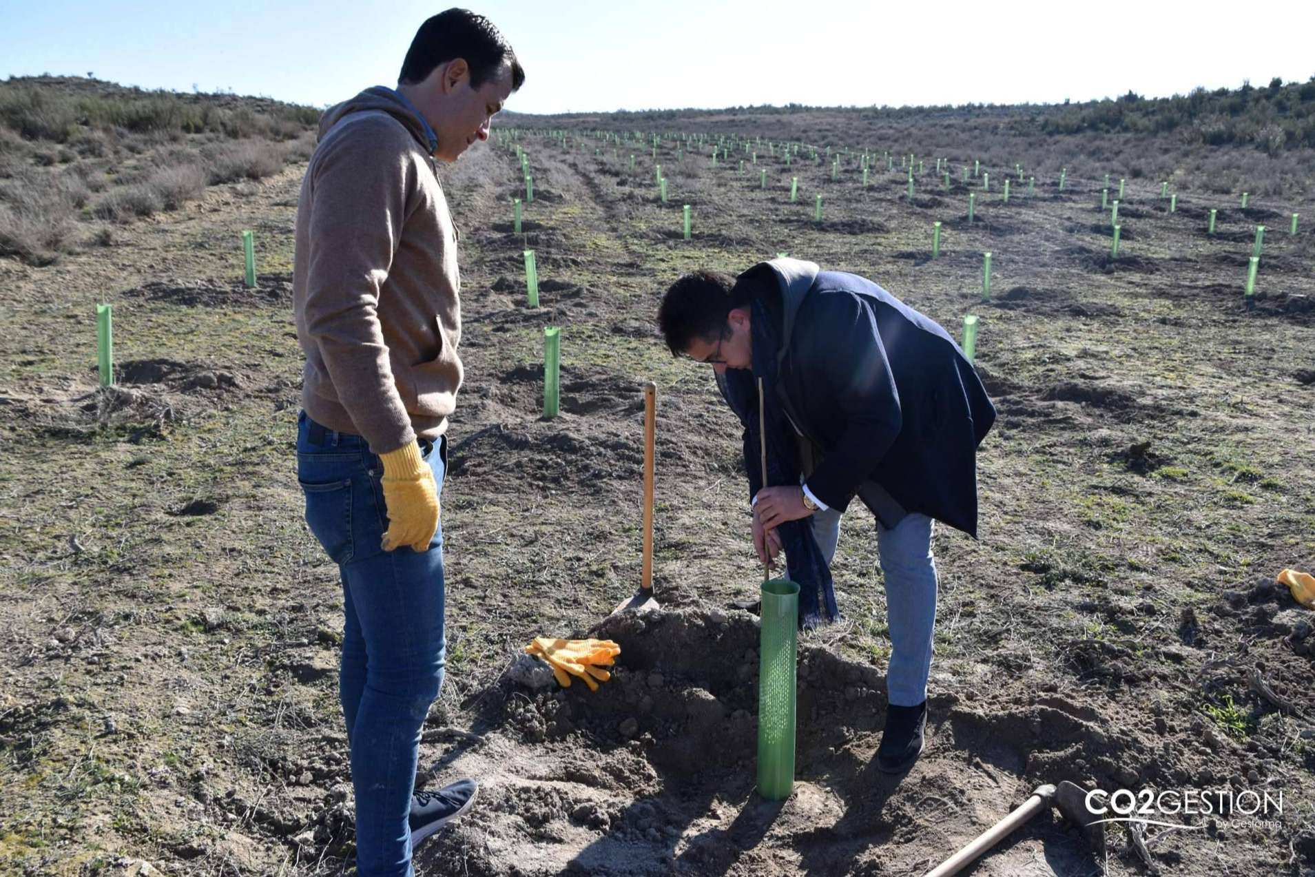 Fundación Alcoraz e ICT Ibérica crean un nuevo bosque en Zaragoza