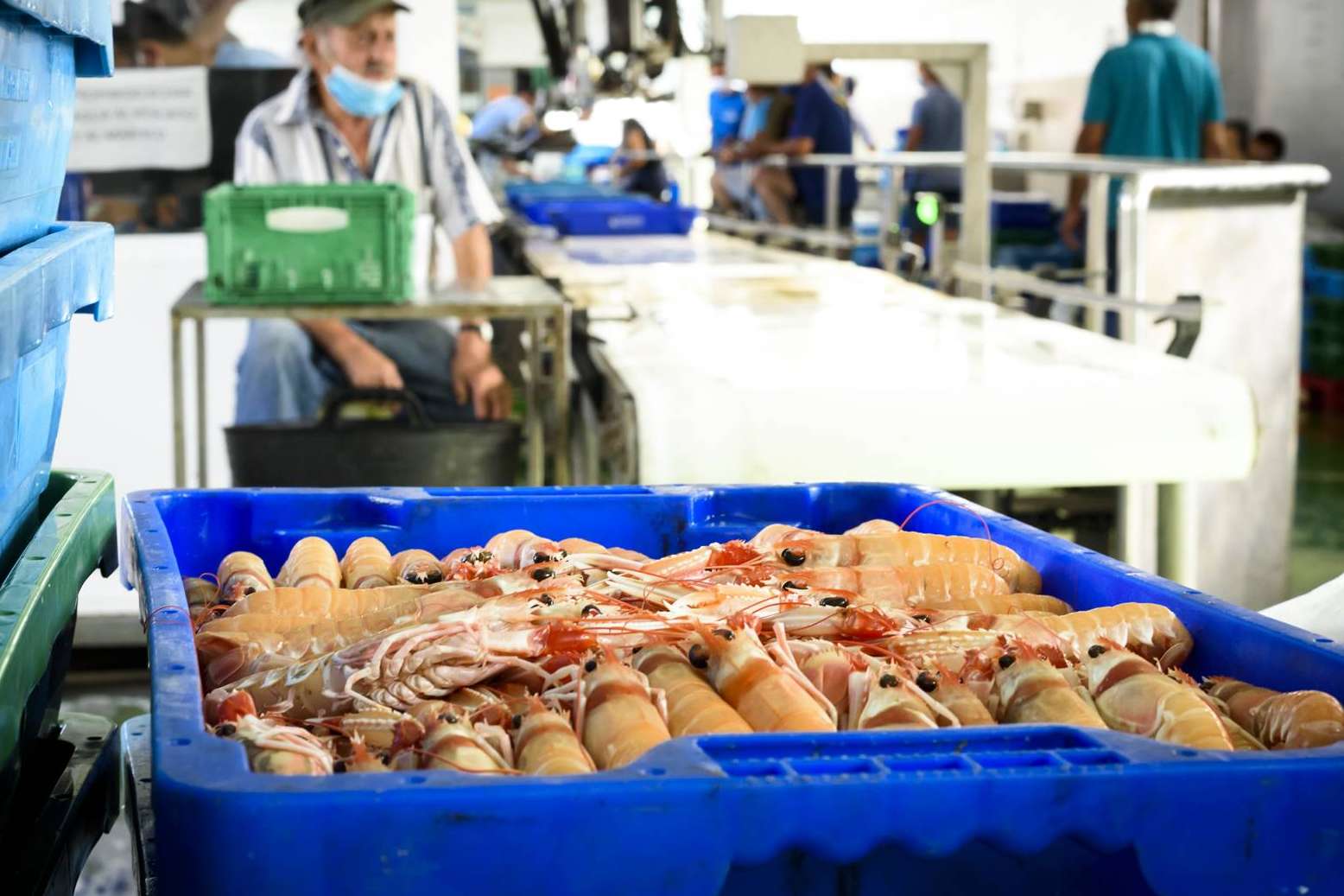Marisco fresco muy delicioso, disponible en Lonja de Ayamonte
